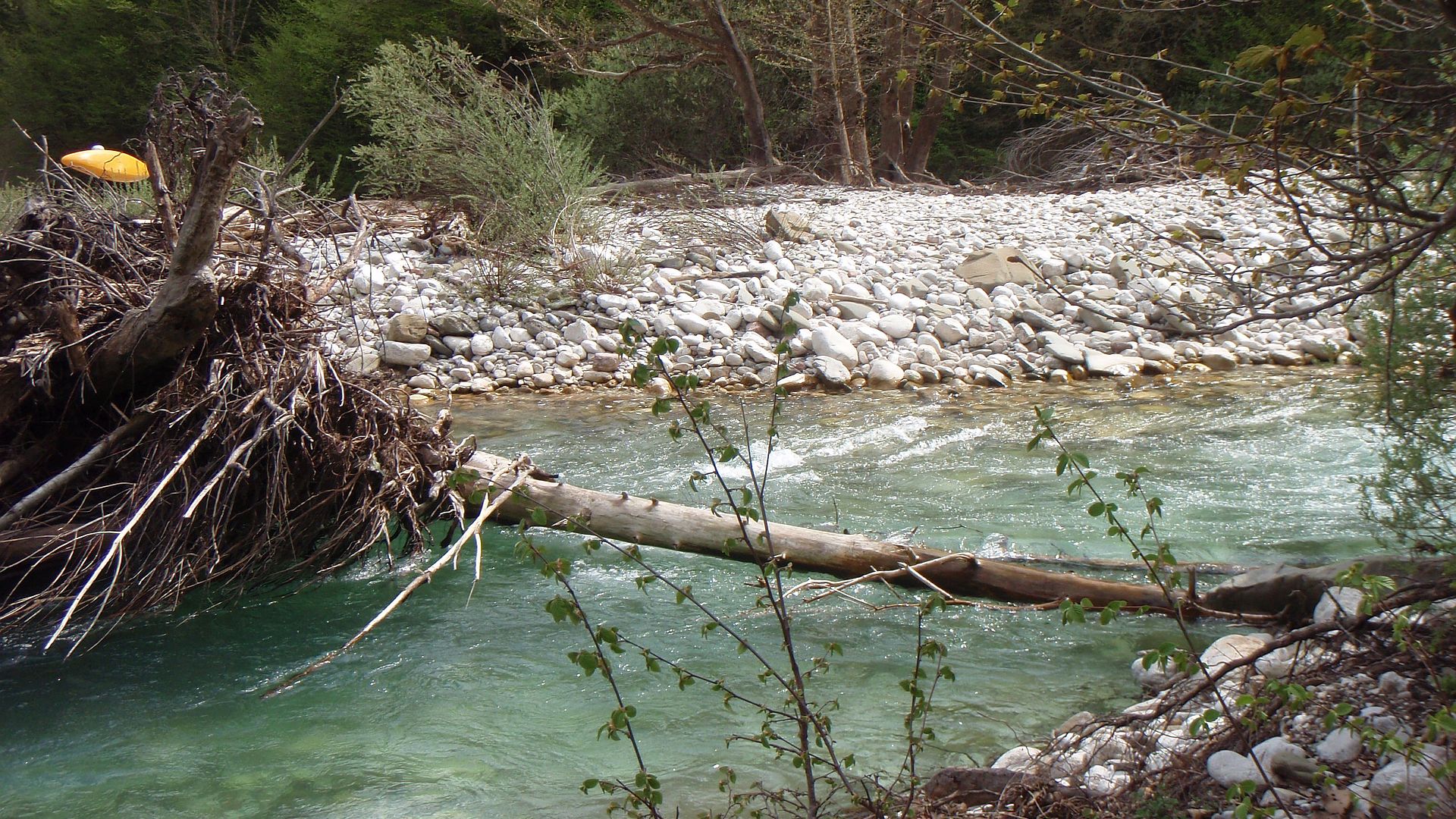 Kajak, Fluss Lakmos, Abschnitt Anthousa - Milia Baumhindernisse 