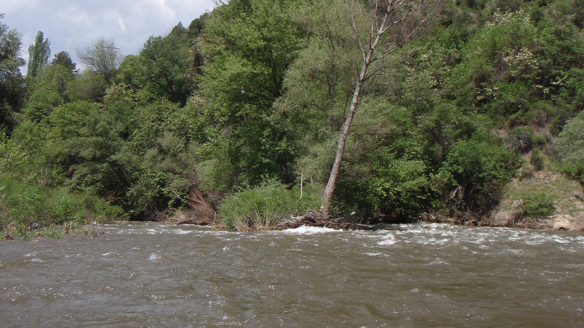 Kajak, Fluss Struma, Abschnitt Brücke Richtung Stara Kresna - Kresna Vorsicht Baumhindernisse 