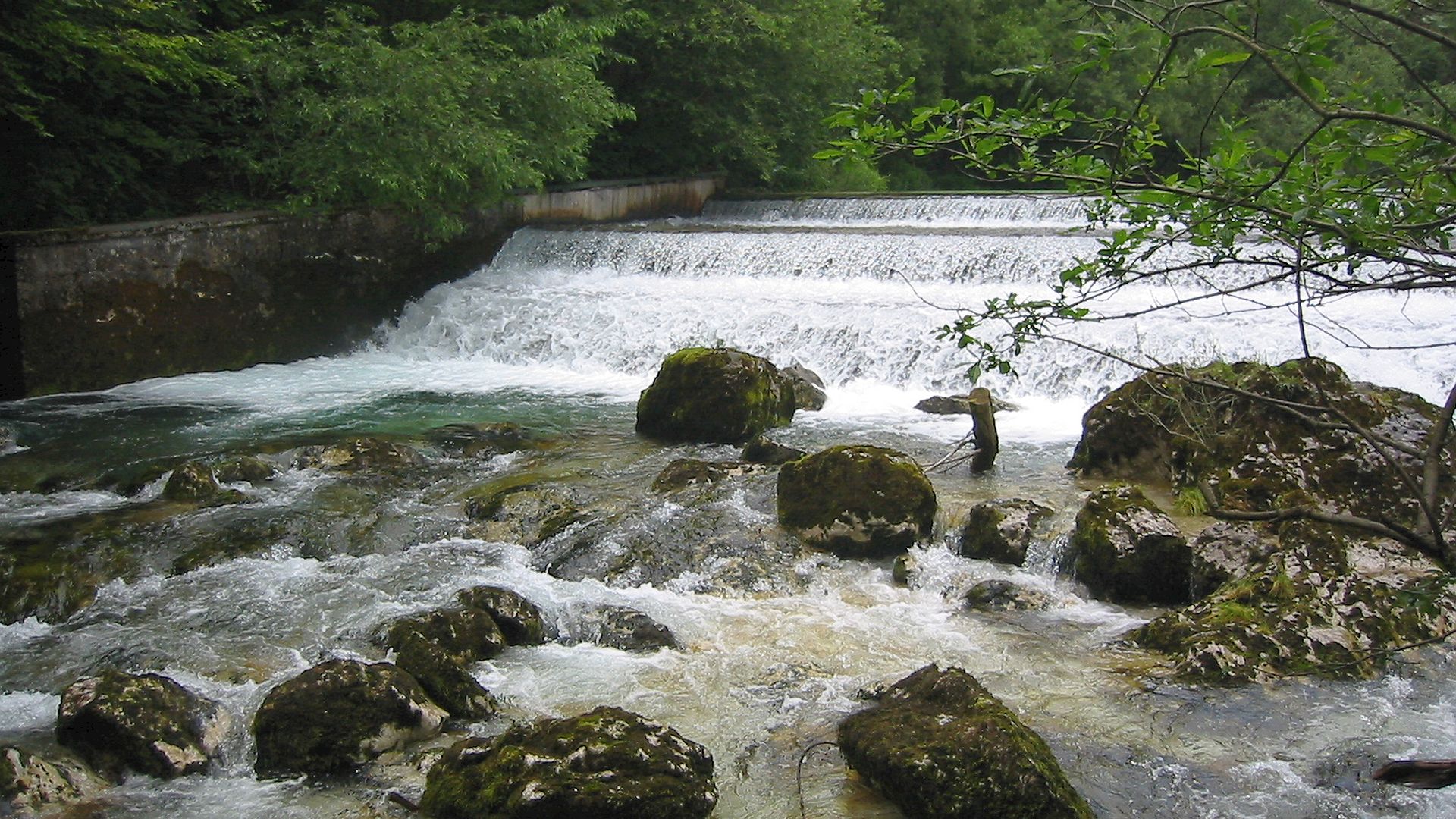 Kajak, Fluss Radovna, Abschnitt Radovna - Vintgar Wehr 1 
