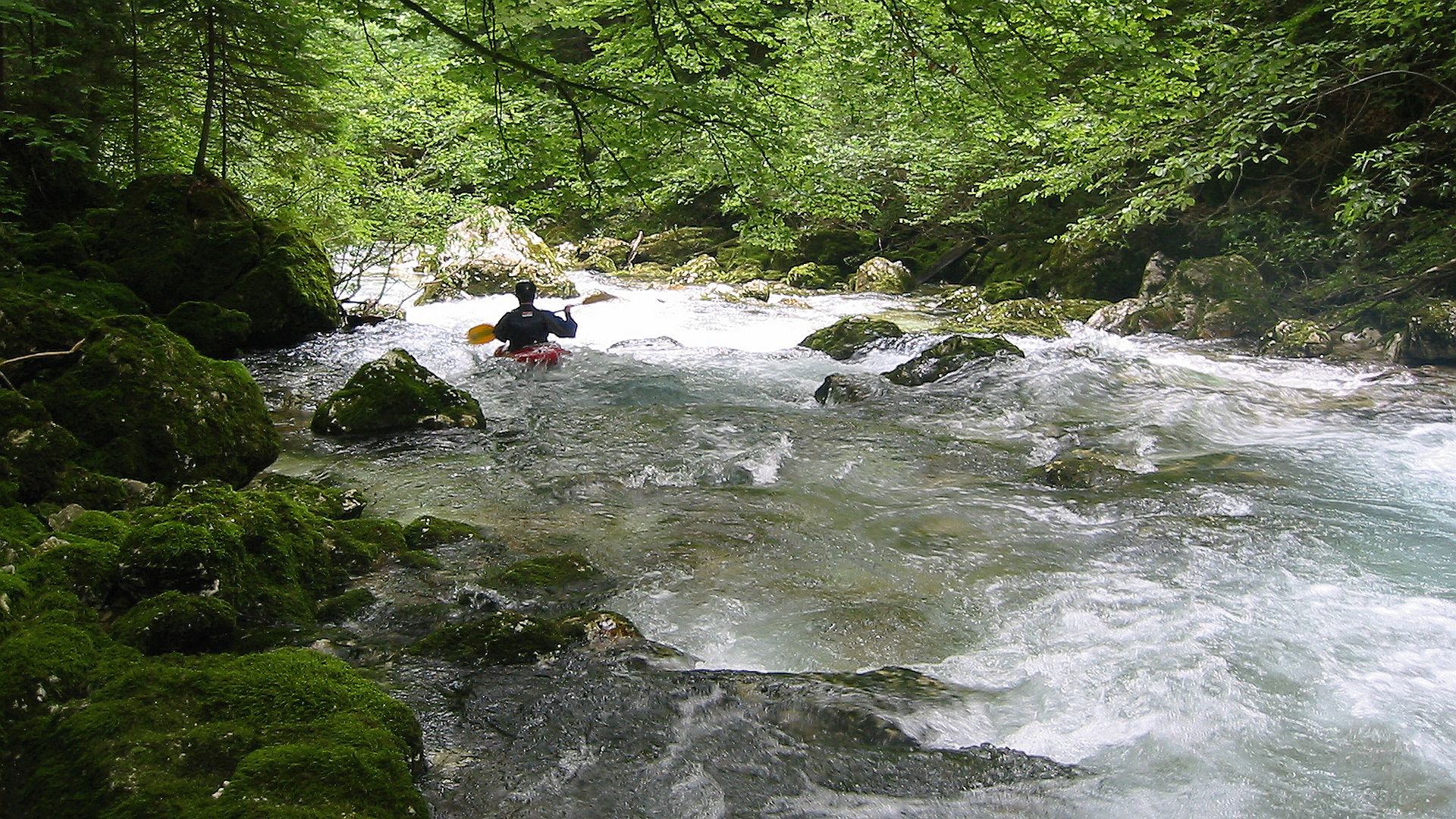 Kajak, Fluss Radovna, Abschnitt Radovna - Vintgar Folgestrecke nach Wehr 1 🛶 Stefan H.