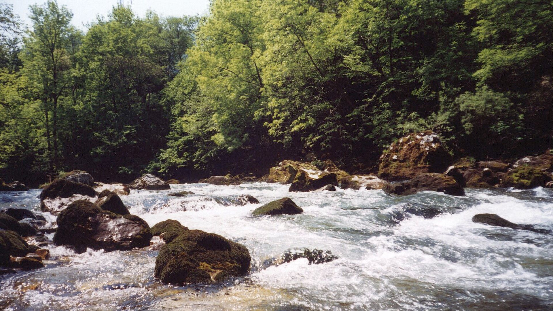 Kajak, Fluss Sava Bohinjka, Abschnitt Soteska - Selo leicht verblockter Schwall 