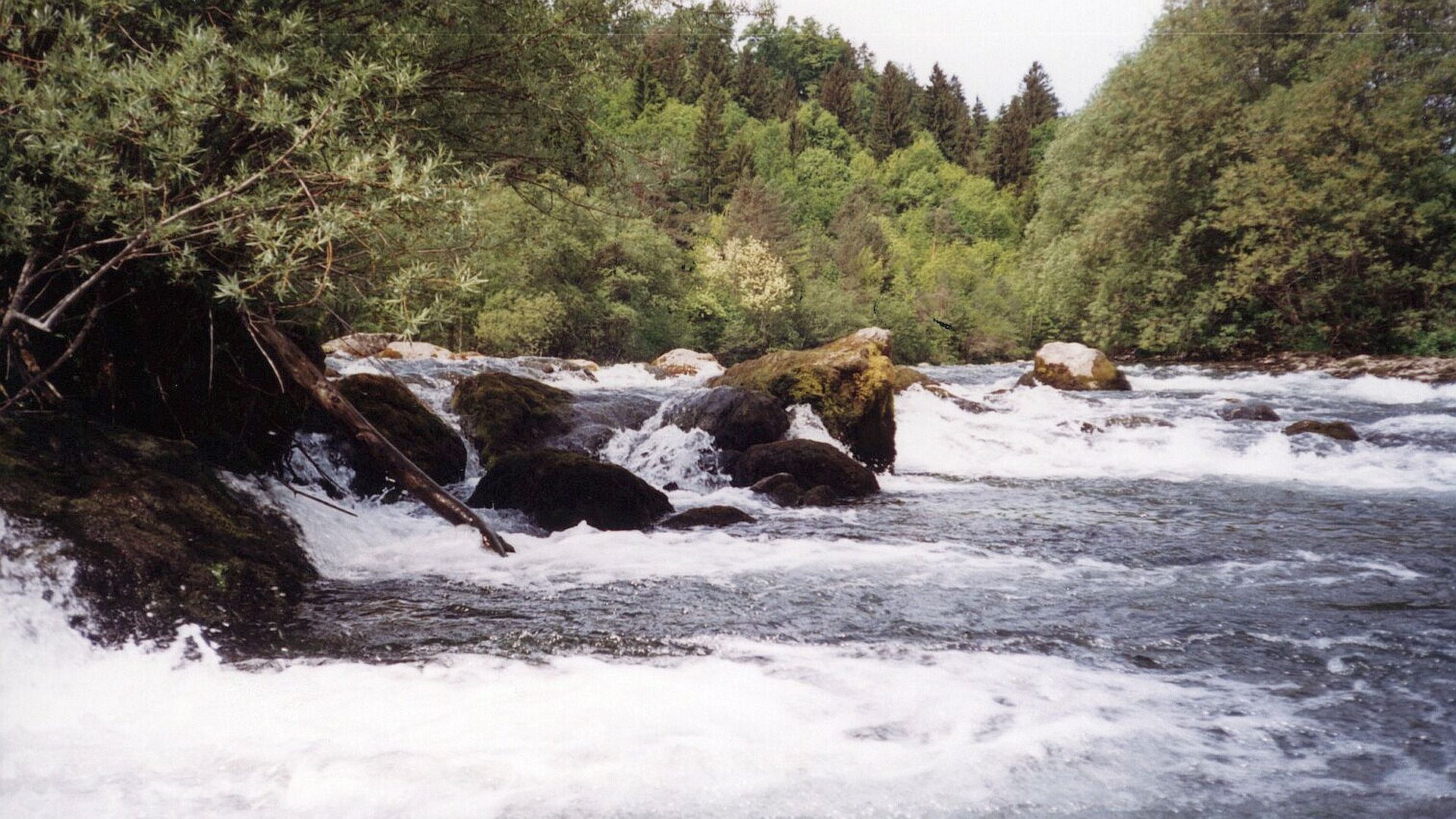 Kajak, Fluss Sava Dolinka, Abschnitt Mojstrana - Hrušica Stufen 