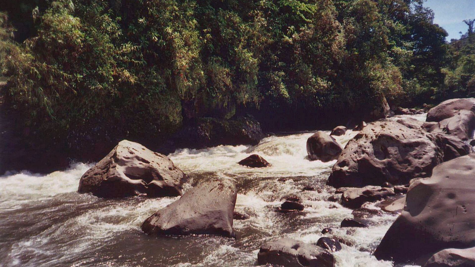 Kajak, Fluss Cosanga, Abschnitt Cosanga - Oritoyacu (Mittellauf) Stelle vor Chibolo 
