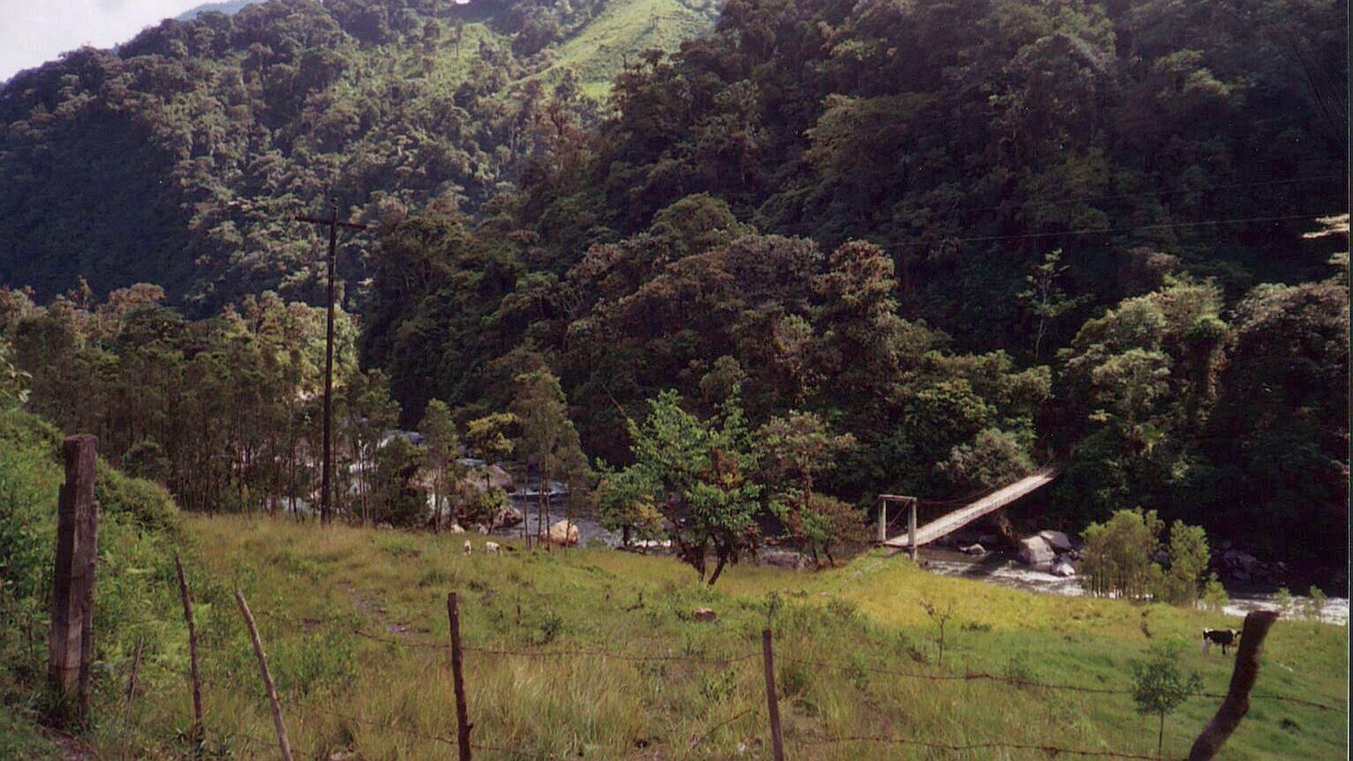 Kajak, Fluss Cosanga, Abschnitt Oritoyacu - San Fransisco de Borja (Unterlauf) Einstieg bei der Hängebrücke 