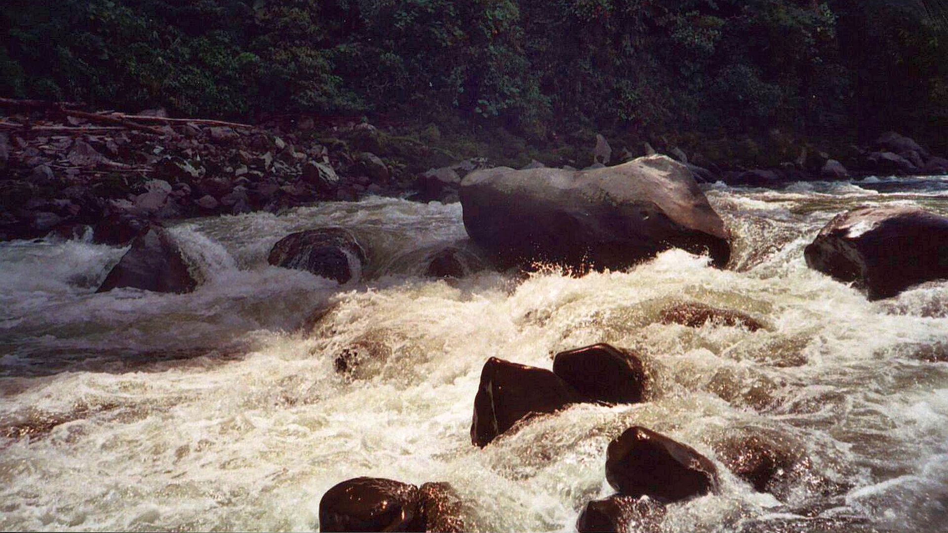 Kajak, Fluss Cosanga, Abschnitt Oritoyacu - San Fransisco de Borja (Unterlauf) verblockte Gefällestrecken 