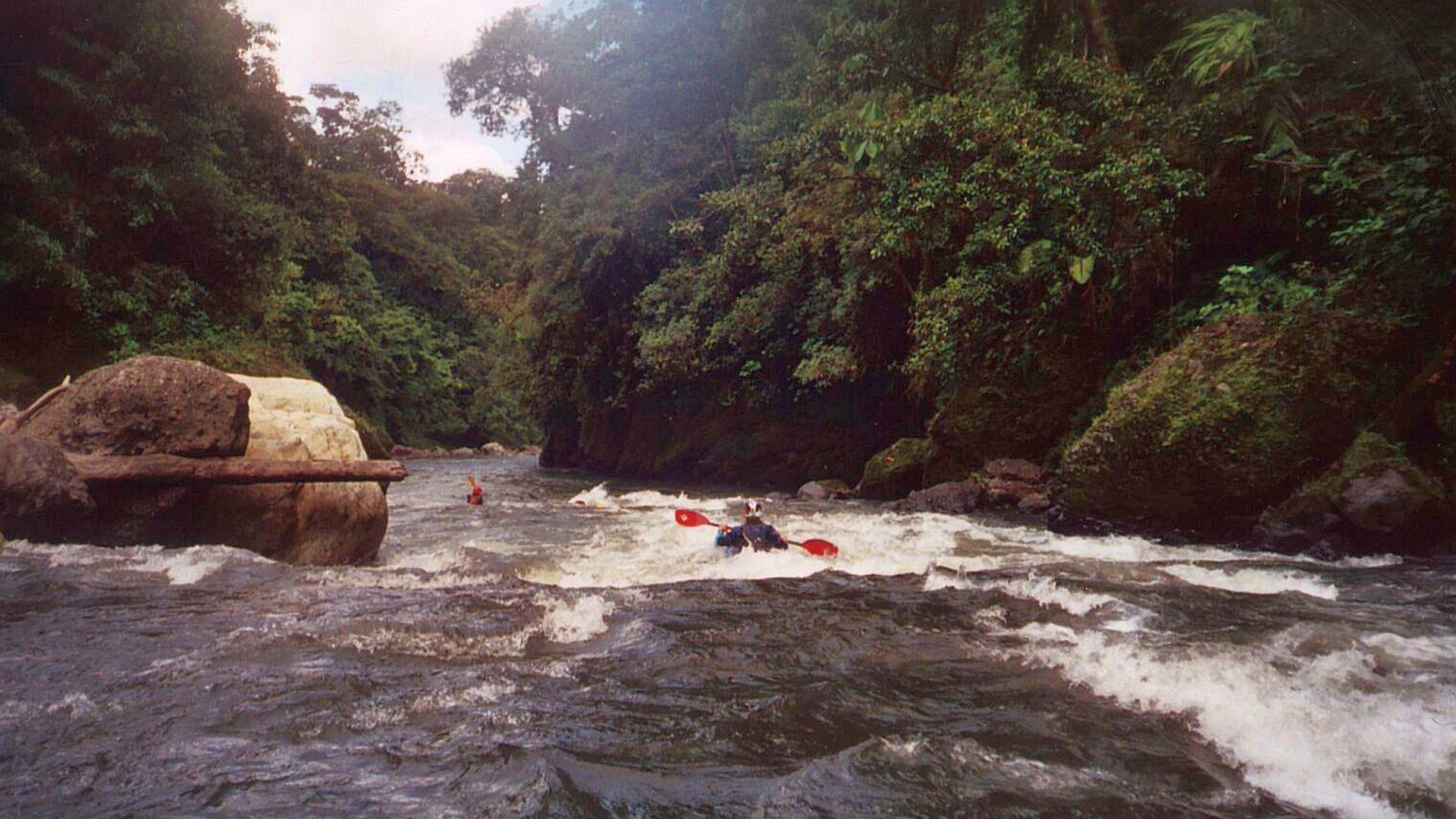 Kajak, Fluss Cosanga, Abschnitt Oritoyacu - San Fransisco de Borja (Unterlauf) herrliche einsame Urwaldschlucht. 🛶 Kurt B.