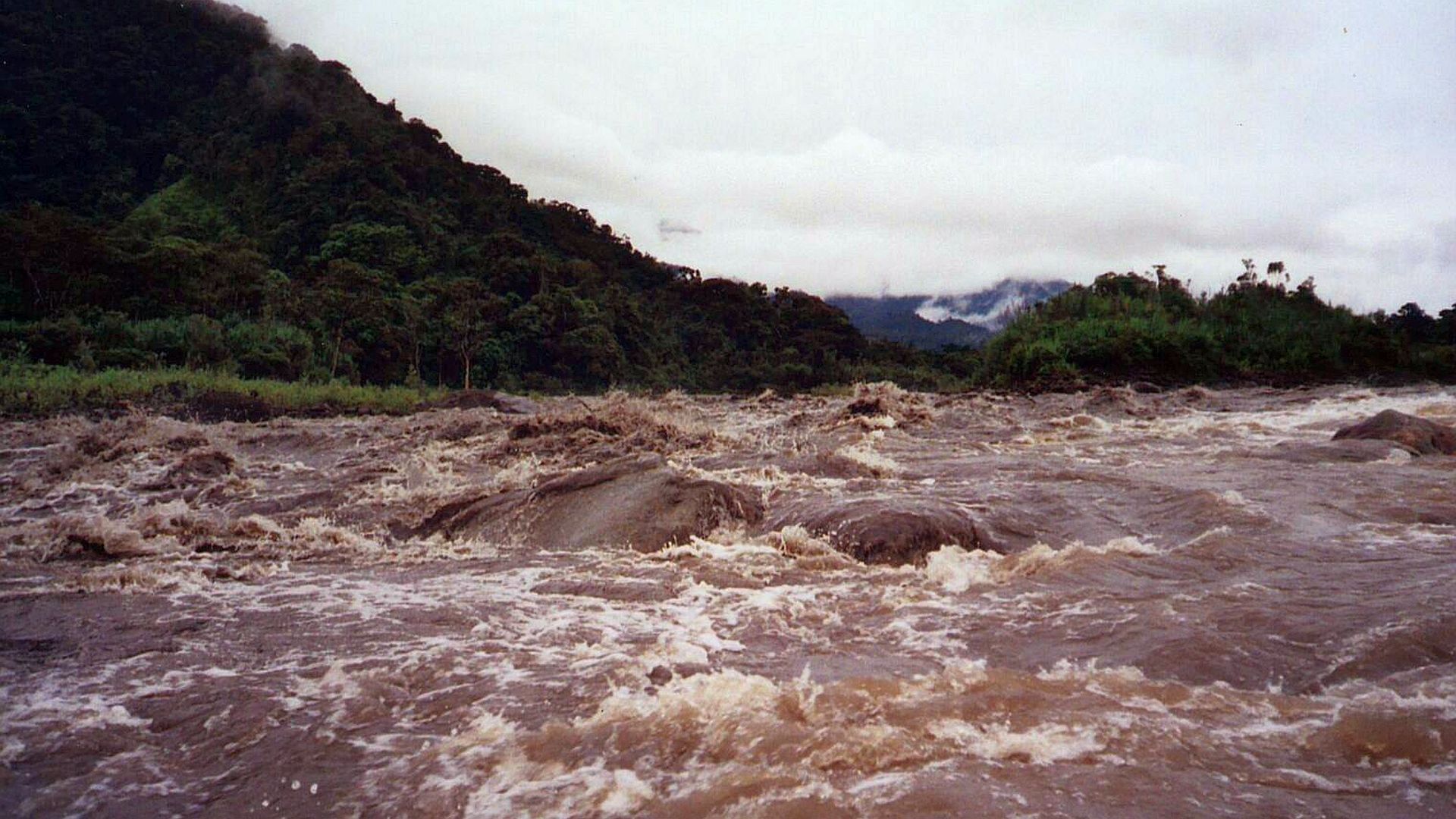 Kajak, Fluss Cosanga, Abschnitt Oritoyacu - San Fransisco de Borja (Unterlauf) der Quijos hat Hochwasser 