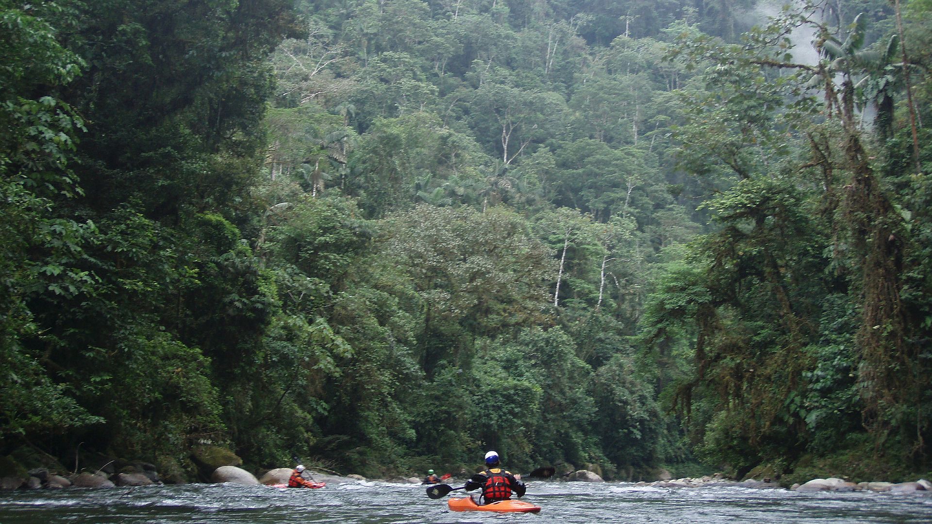 Kajak, Fluss Hollin, Abschnitt Cascadas - Santo Domingo mitten im Urwald 🛶 Horst K., Fabian T., Christoph M.