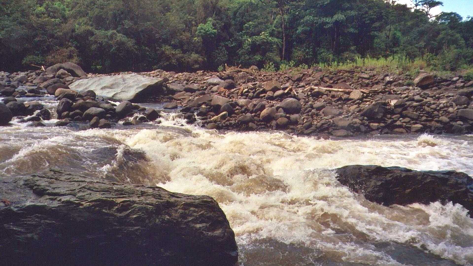 Kajak, Fluss Quijos, Abschnitt Baeza - Sardinas Grande schwererer r Arm nach Cosanga Mündung 
