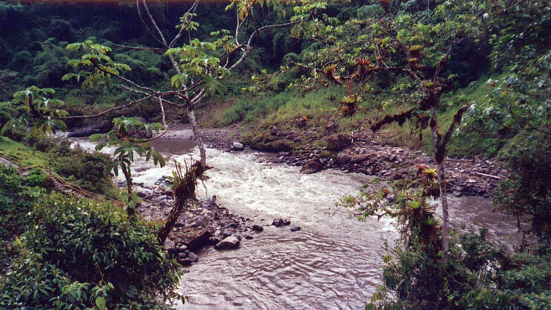 Kajak, Fluss Quijos, Abschnitt Sardinas Grande - Puente Bombon Strecke vor der El Chaco Brücke 