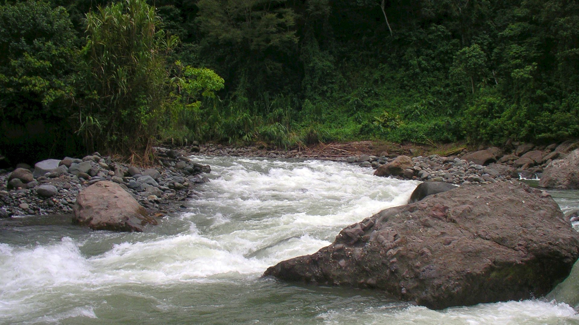 Kajak, Fluss Pacuare, Abschnitt Bajo Pacuare Sur - B. P. Norte (Upper Upper) ab dieser Kurve wird
