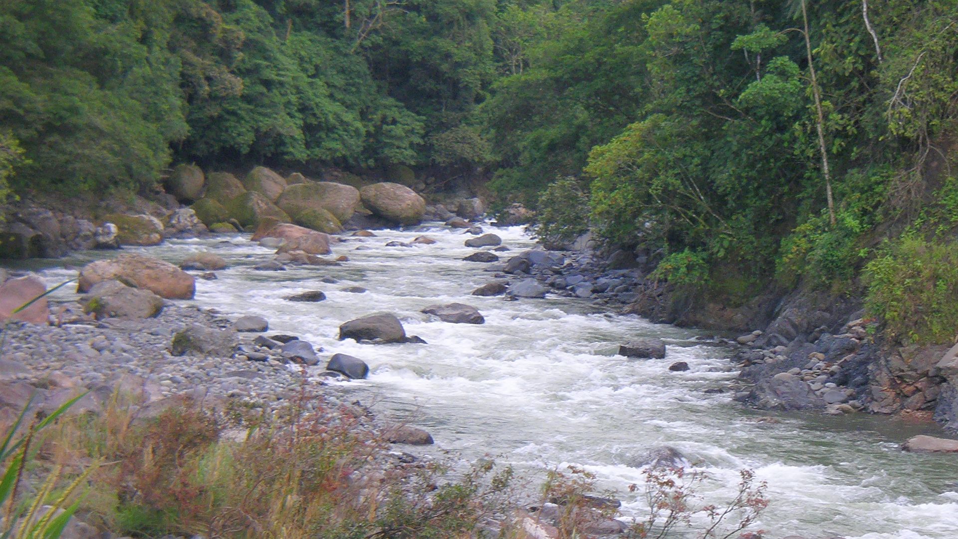 Kajak, Fluss Pacuare, Abschnitt Bajo Pacuare Sur - B. P. Norte (Upper Upper) die letzten Meter vor dem Ausstieg 