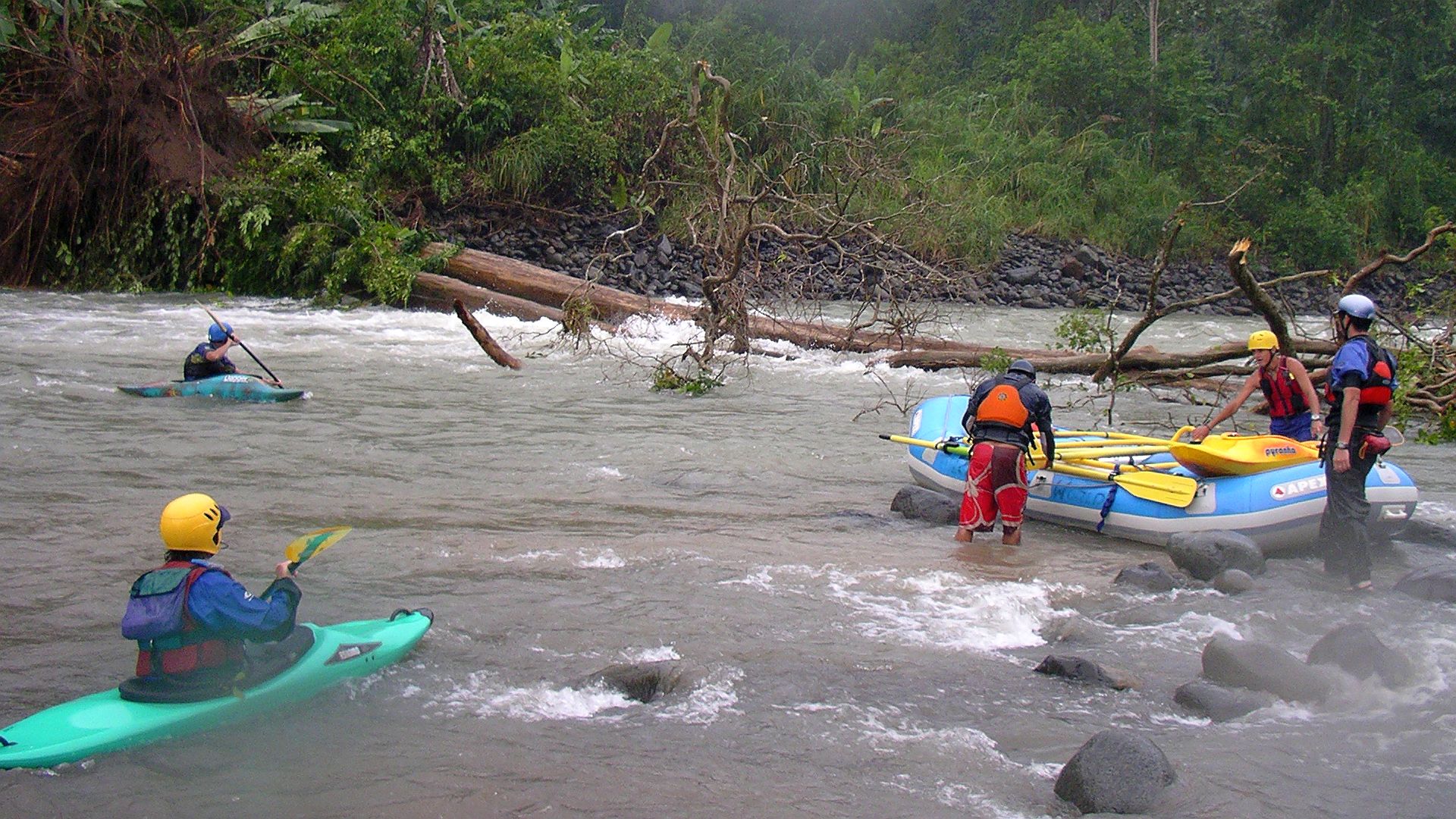 Kajak, Fluss Pacuare, Abschnitt San Martin - Siquierres (Lower) flussbreites Baumhindernis 