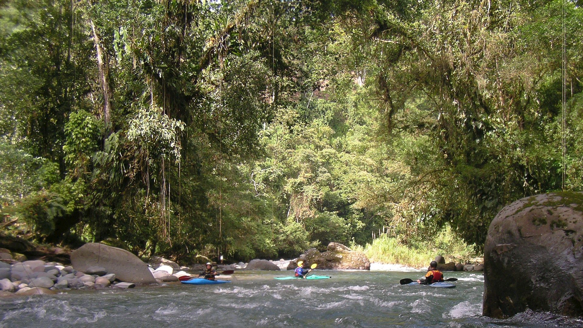 Kajak, Fluss Pejibaye, Abschnitt Taus - Oriente Waldfluss 🛶 Gringos L.