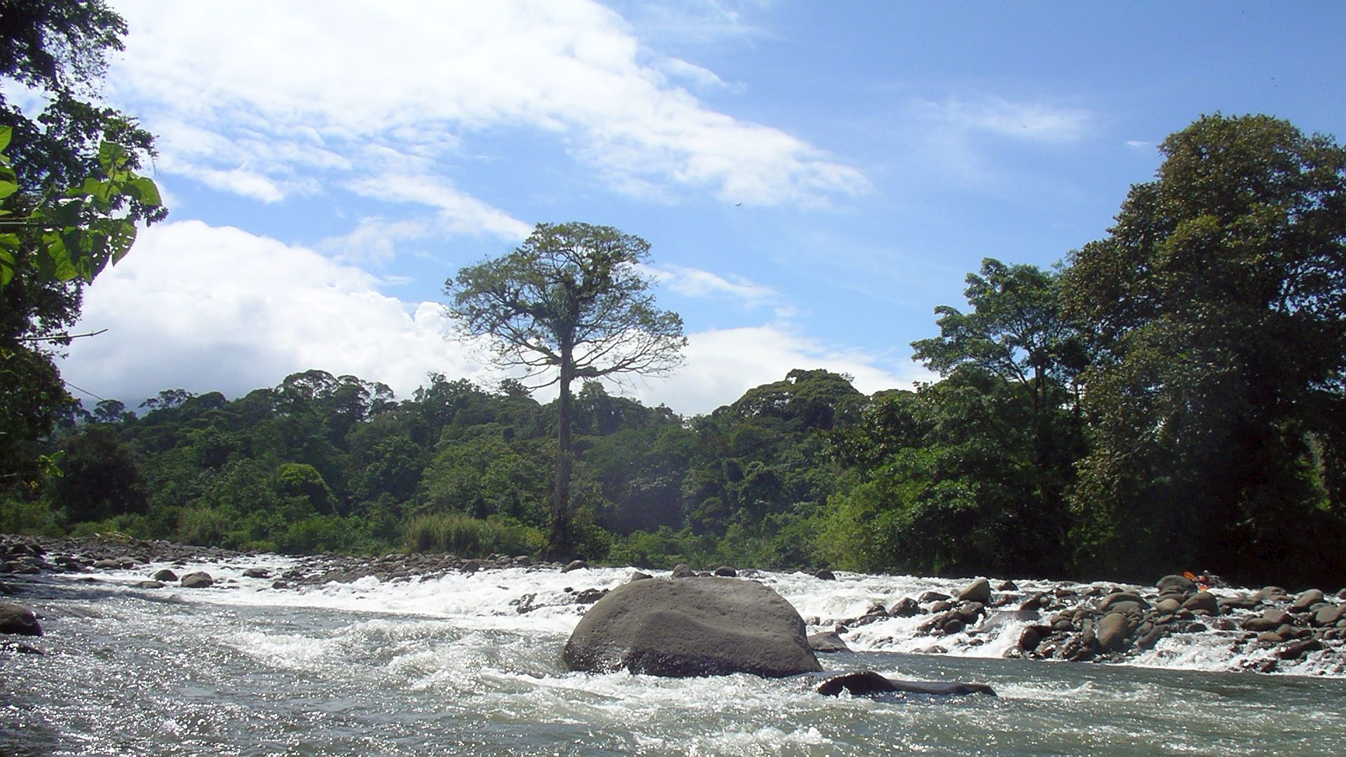 Kajak, Fluss Sarapiqui, Abschnitt San Miguel - La Virgen (Oberer Sarapiqui) typischer Seitenwechsel über Kiesbänke 