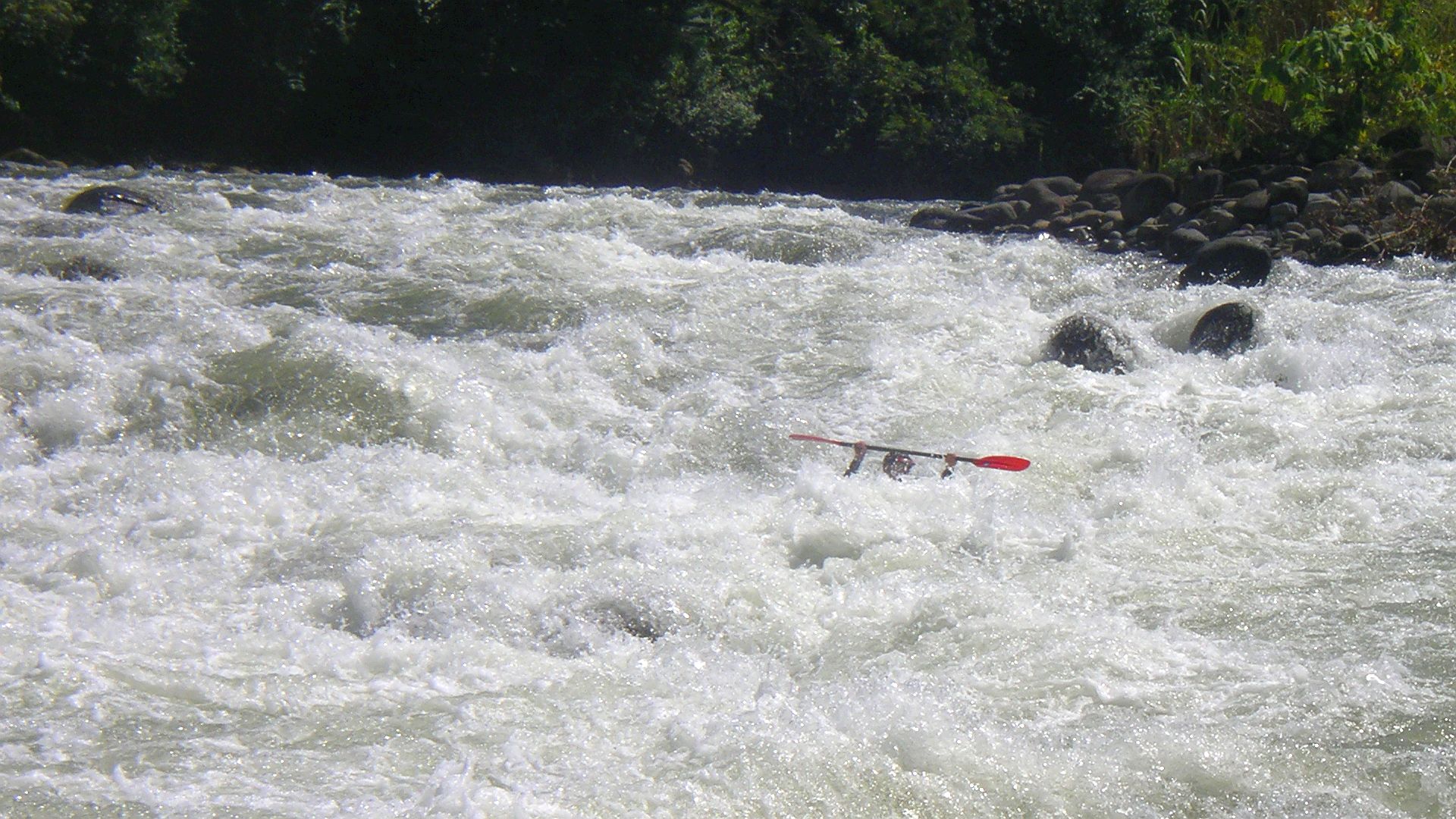 Kajak, Fluss Sarapiqui, Abschnitt San Miguel - La Virgen (Oberer Sarapiqui) wieder ein wuchtiger Schwall 🛶 Bernd A.