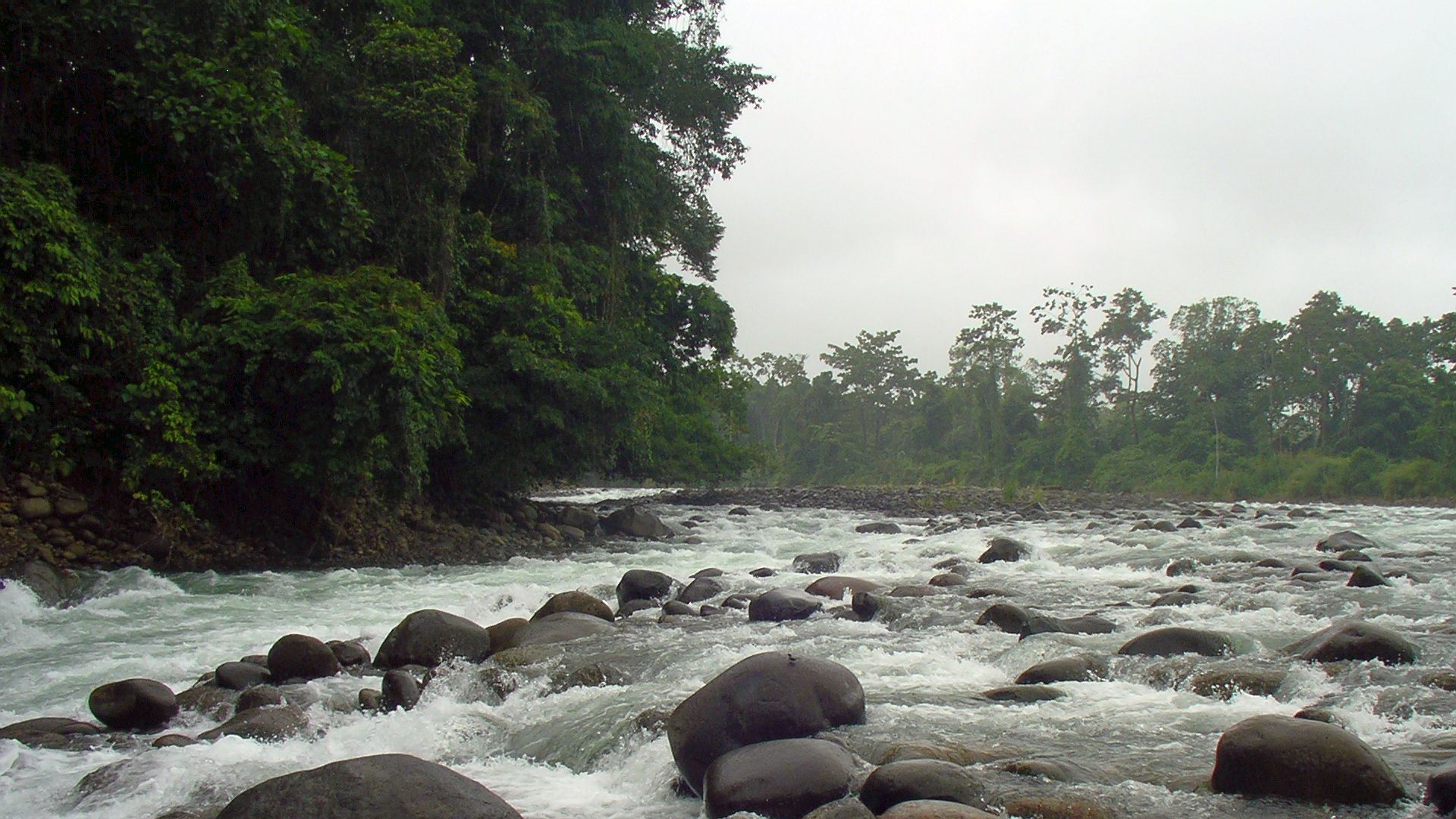 Kajak, Fluss Sarapiqui, Abschnitt La Virgen - Chilamate (Mittlerer Sarapiqui) einer der ersten Schwälle 