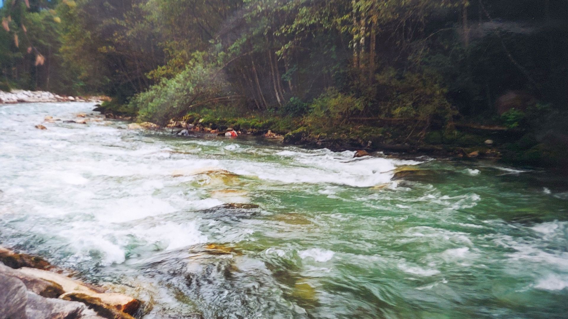 Kajak, Fluss Enns, Abschnitt Radstadt - Mandling manchmal verblockt 