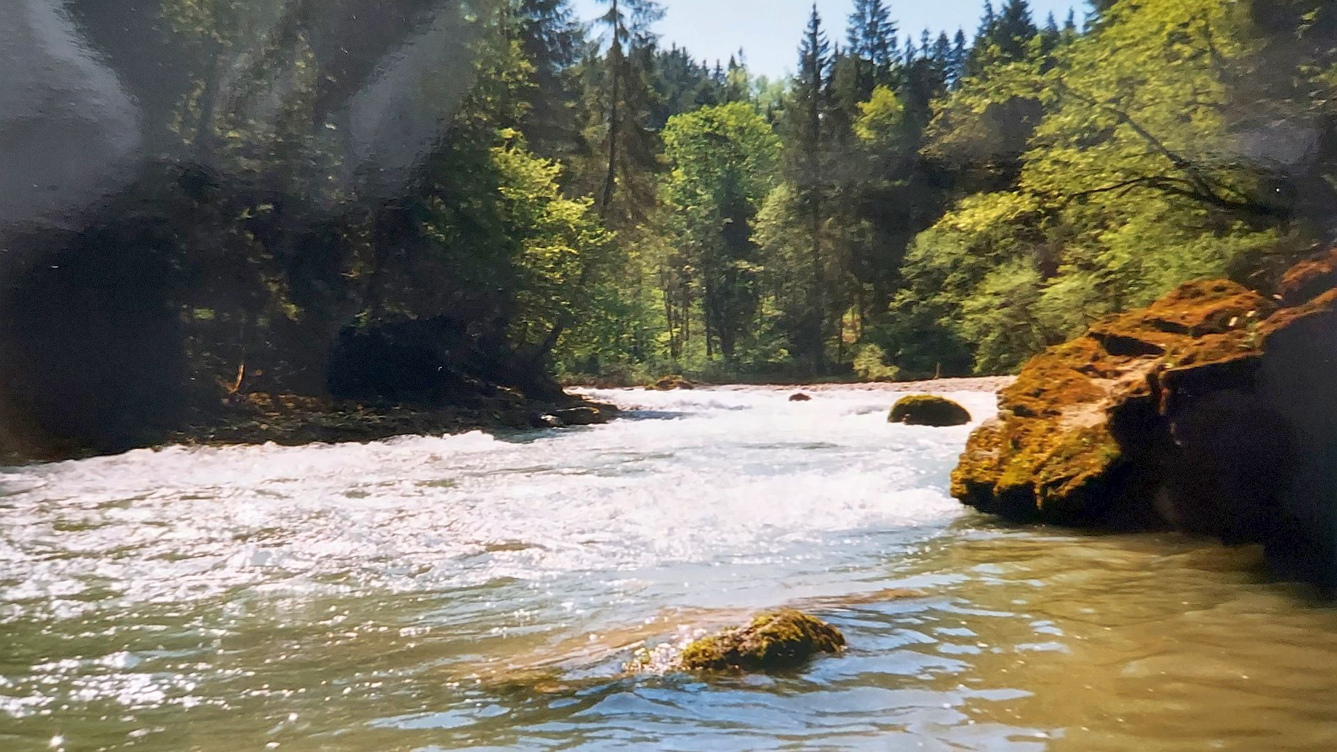 Kajak, Fluss Ammer, Abschnitt Rottenbuch - Böbinger Brücke schöner Waldfluss 