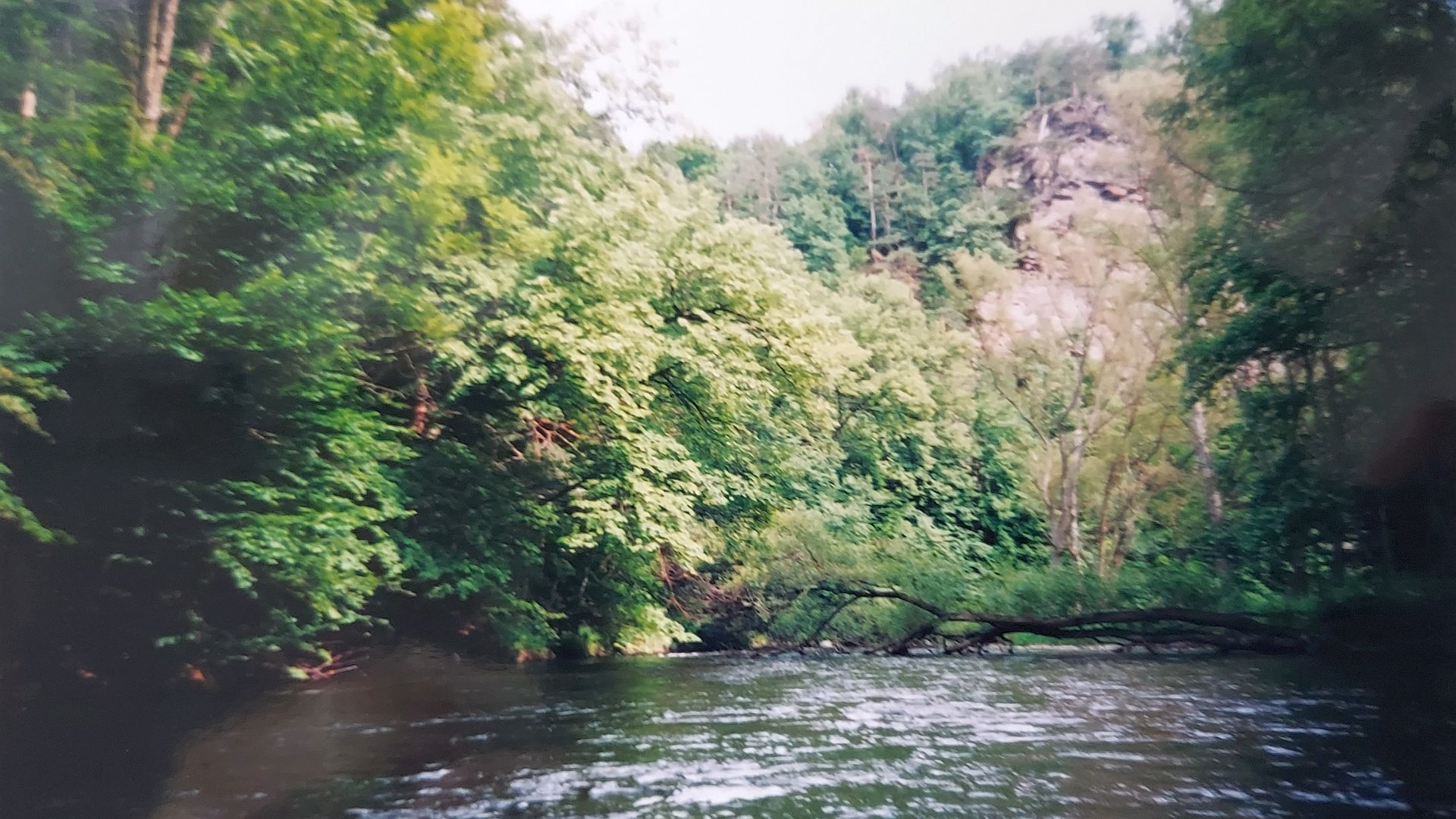 Kajak, Fluss Kamp, Abschnitt Wegscheid - Rosenburg schöner Waldfluss 