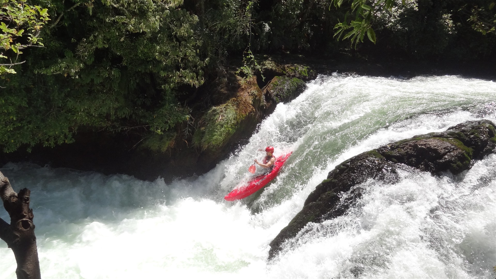 Kajak, Fluss Kaituna, Abschnitt Okere Falls Run (Standardstrecke) gleich nach dem üblichen Ausstieg 