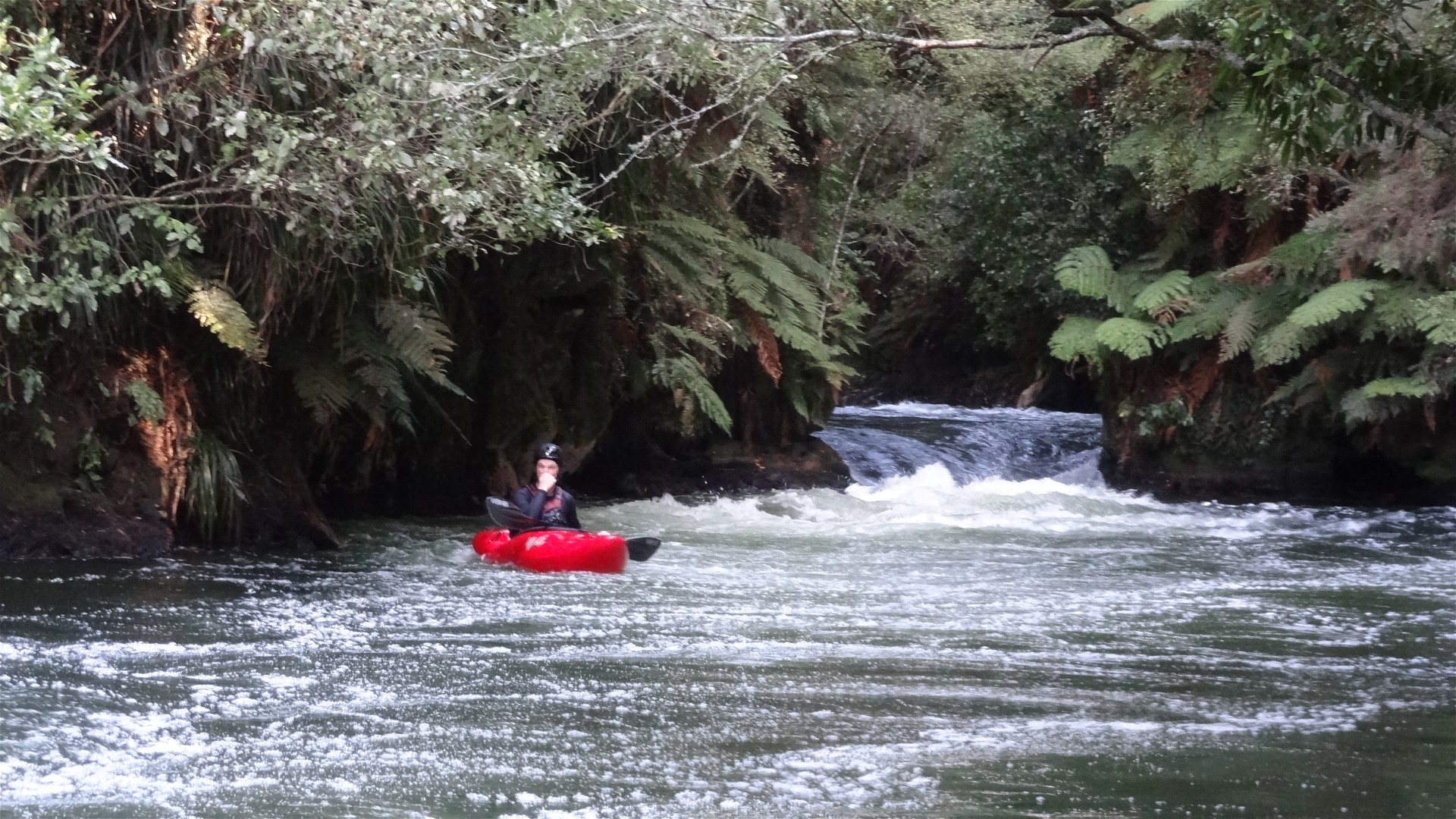 Kajak, Fluss Kaituna, Abschnitt Okere Falls Run (Standardstrecke) kurz vor dem Ausstieg 
