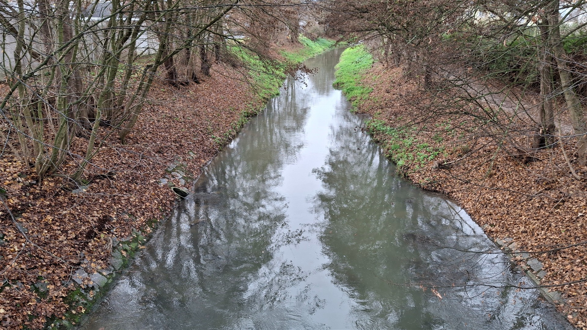 Kajak, Fluss Ipfbach, Abschnitt St. Florian - Donau kurz nach der Einstiegstelle in St Florian 