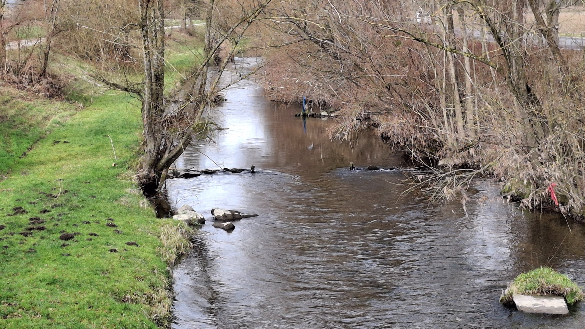 Kajak, Fluss Naarn, Abschnitt Perg - Donaualtarm (Unterlauf) beim Zwischeneinstieg Haid 