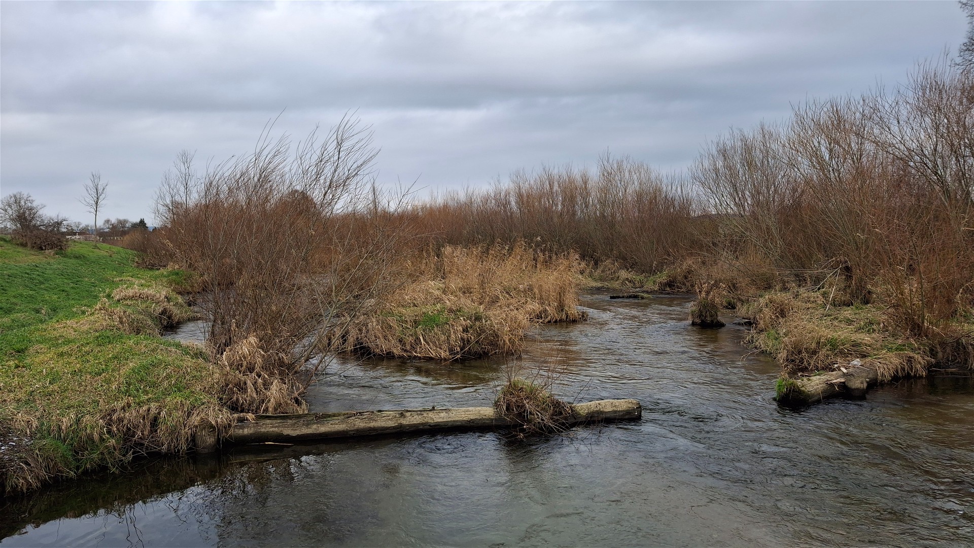 Kajak, Fluss Naarn, Abschnitt Perg - Donaualtarm (Unterlauf) schöne Strecke vor Ausstieg 