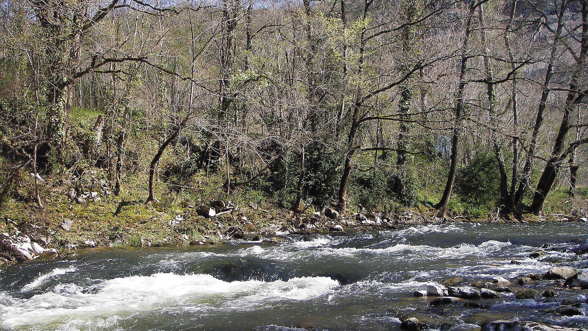 Kajak, Fluss Aveyron, Abschnitt Monteils - Najac schöner Waldfluss 