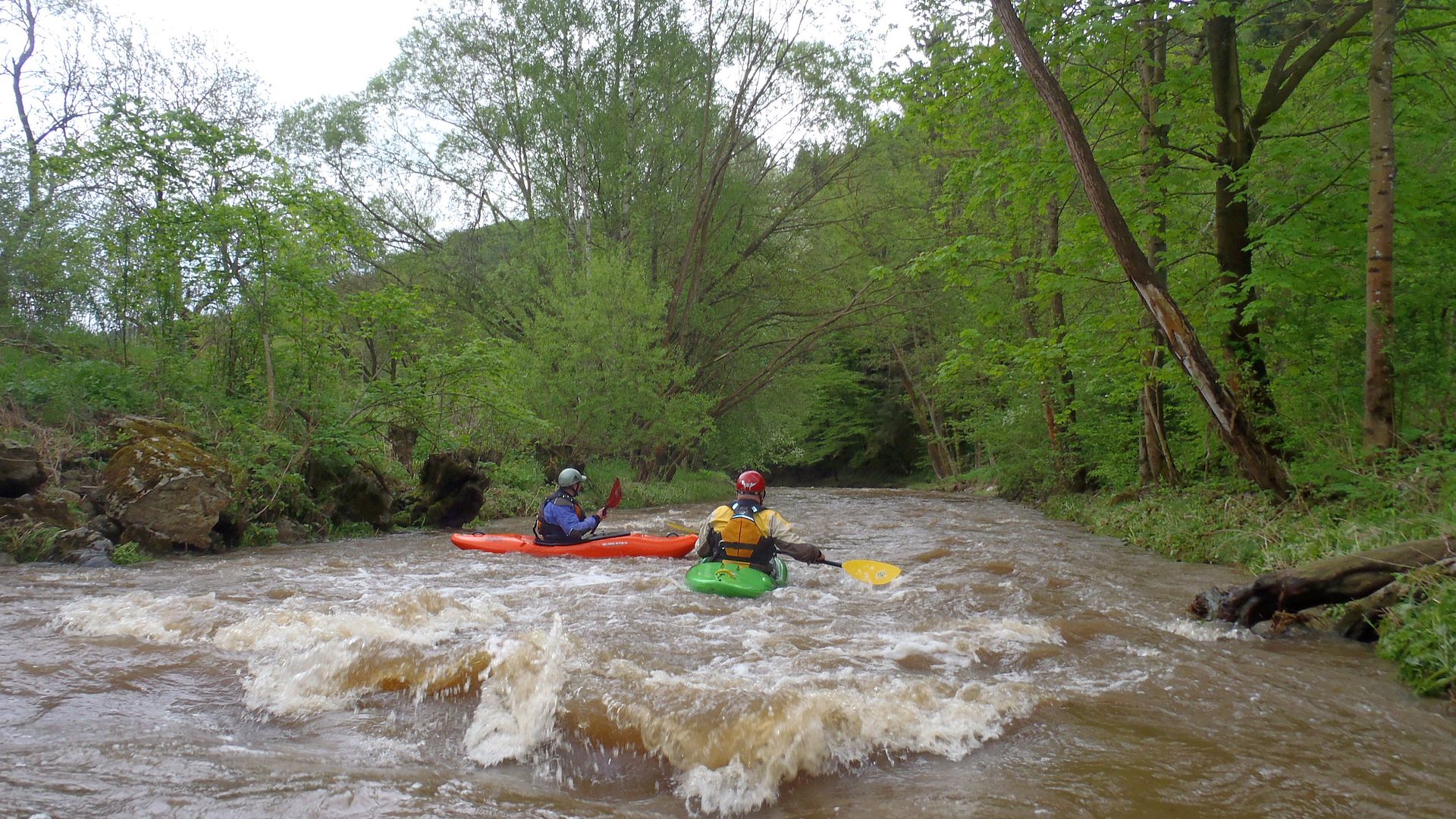 Kajak, Fluss Große Krems, Abschnitt Hohenstein - Imbach schöner Waldfluss 