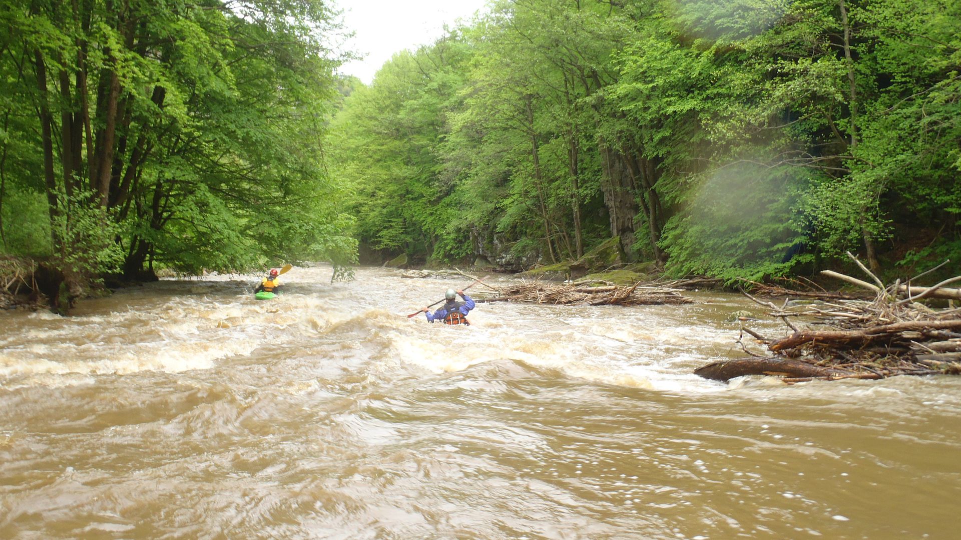 Kajak, Fluss Große Krems, Abschnitt Hohenstein - Imbach Holzhindernisse 