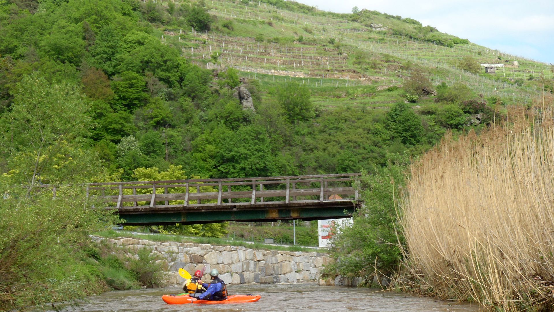 Kajak, Fluss Große Krems, Abschnitt Hohenstein - Imbach Weinberge 