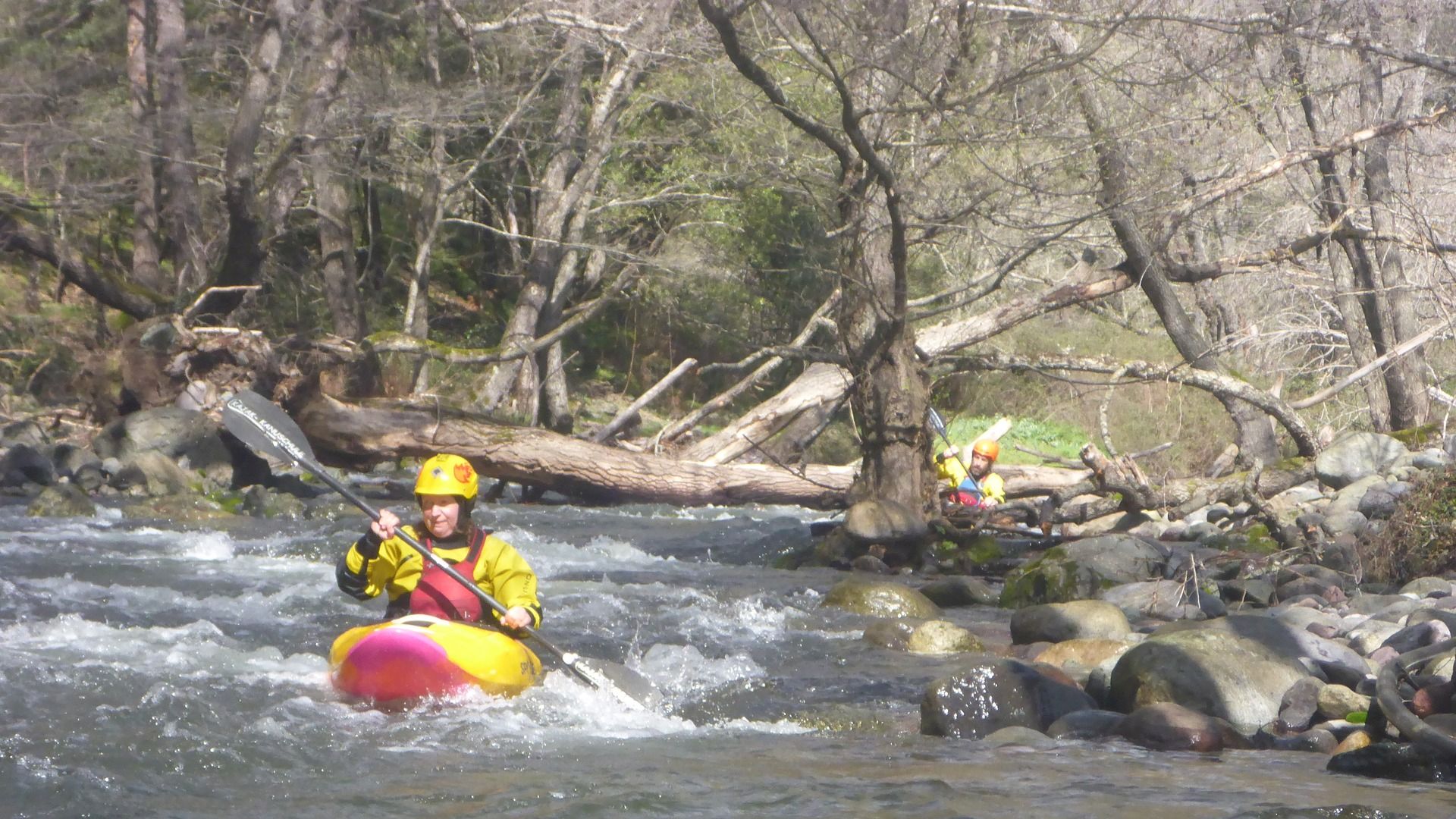Kajak, Fluss Tartagine, Abschnitt Untere Tartagine Baumhindernisse 🛶 Angela E.
