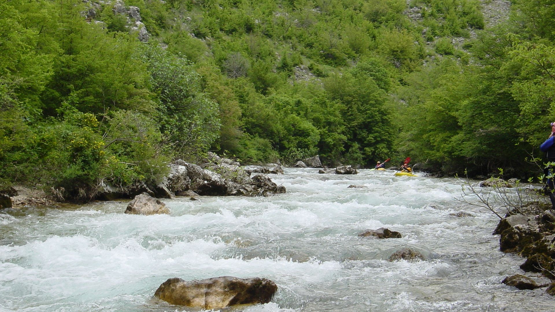 Kajak, Fluss Zrmanja, Abschnitt Palanka - Ervenik (Obere) schöne Waldschlucht 🛶 Helmut L., Heinz D.