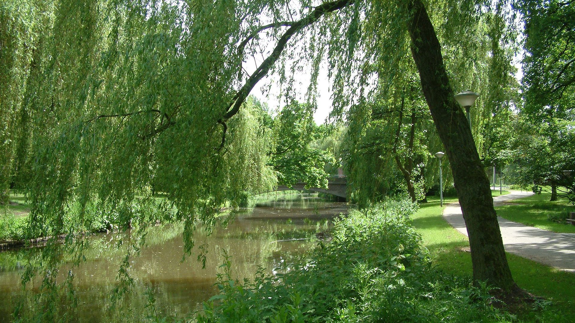 Kajak, Fluss Dommel, Abschnitt Waalre - Son en Breugel