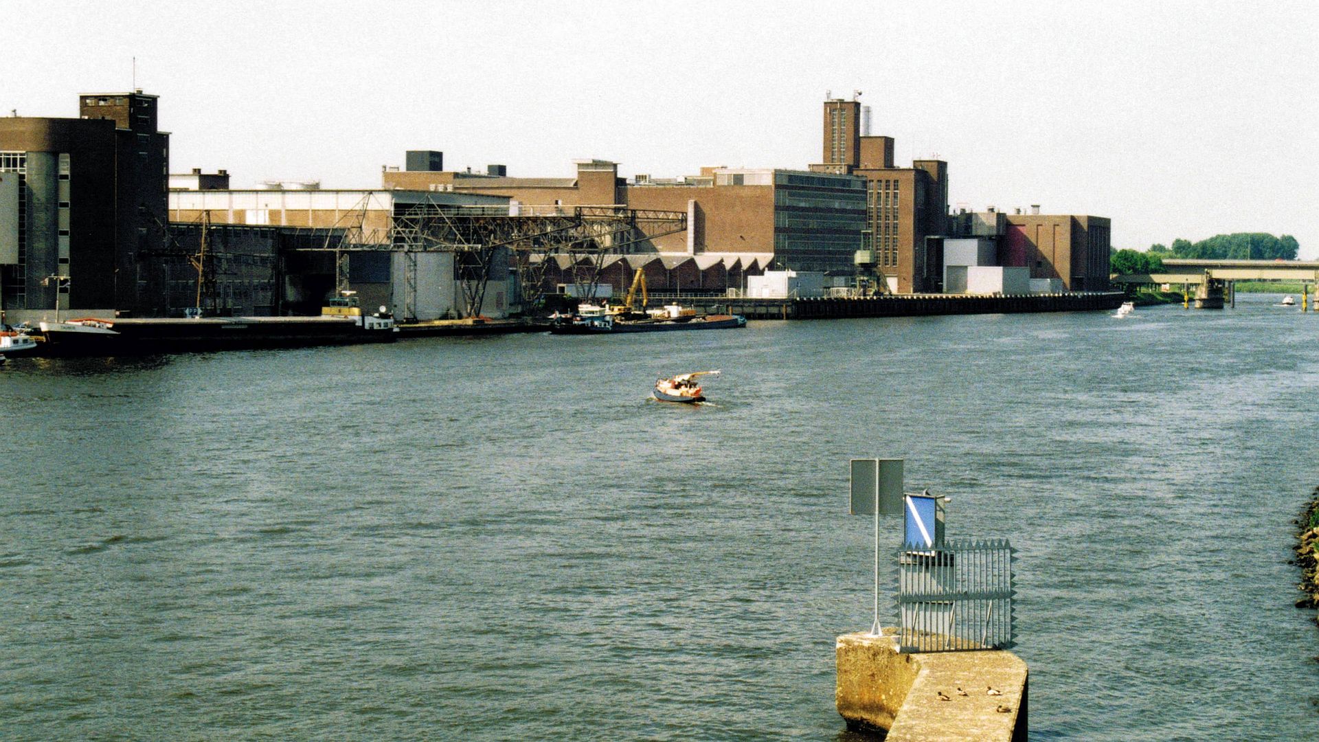 Kajak, Fluss Maas, Abschnitt Borgharen - Maaseik