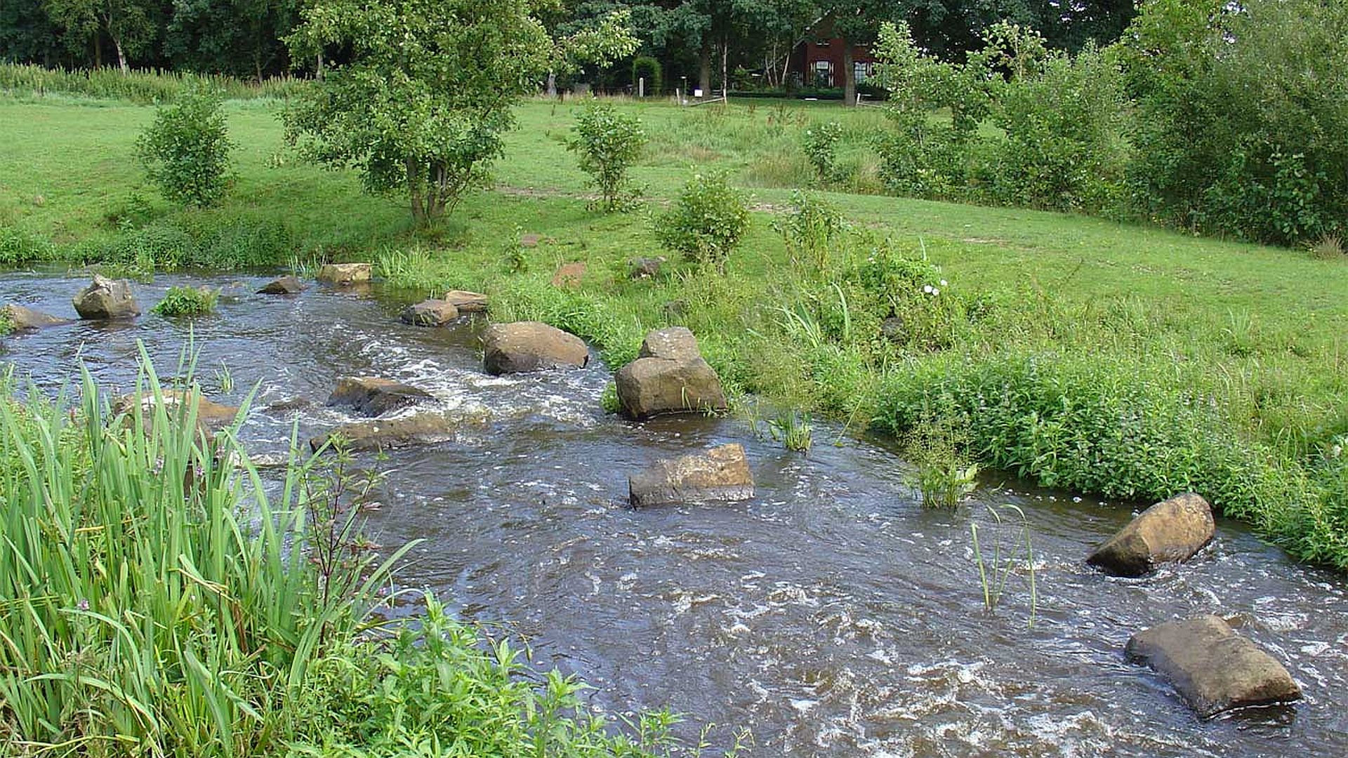 Kajak, Fluss Ruiten Aa, Abschnitt Ter Wisch - Vlagtwedde
