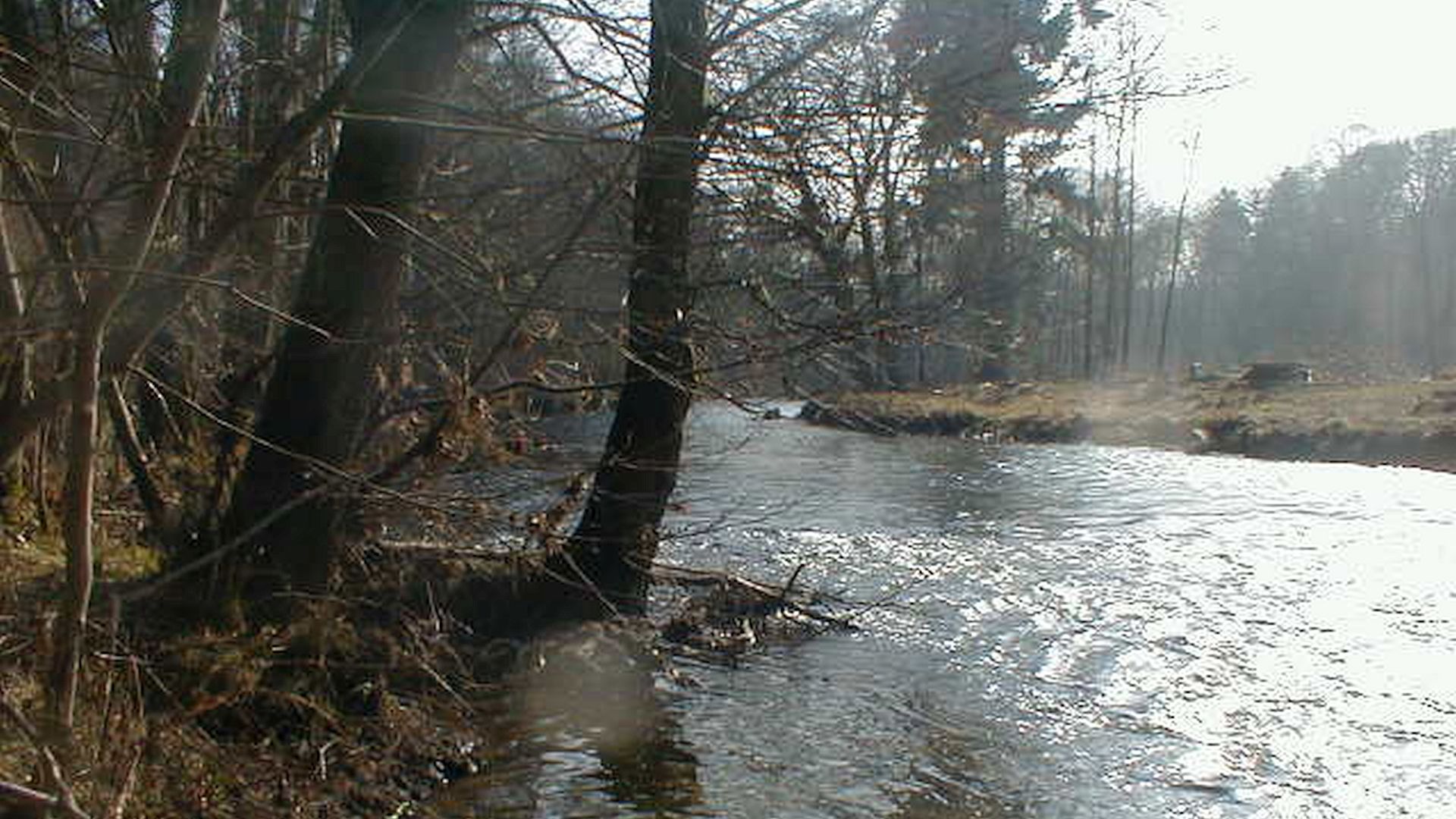 Kajak, Fluss Lesse, Abschnitt Maissin - Pont des Barbouillons (Oberlauf)