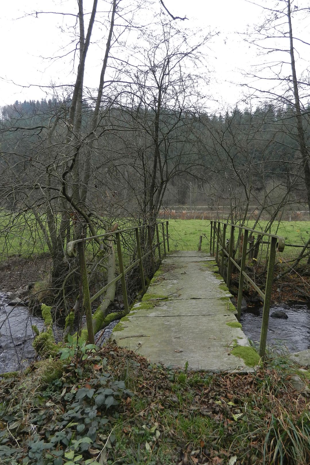 Kajak, Fluss Lienne, Abschnitt Les Villettes - Mündung