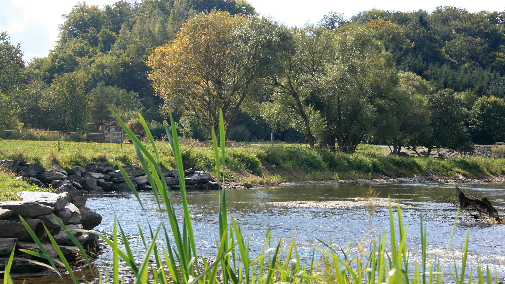 Kajak, Fluss Semois, Abschnitt Herbeumont - Dohan