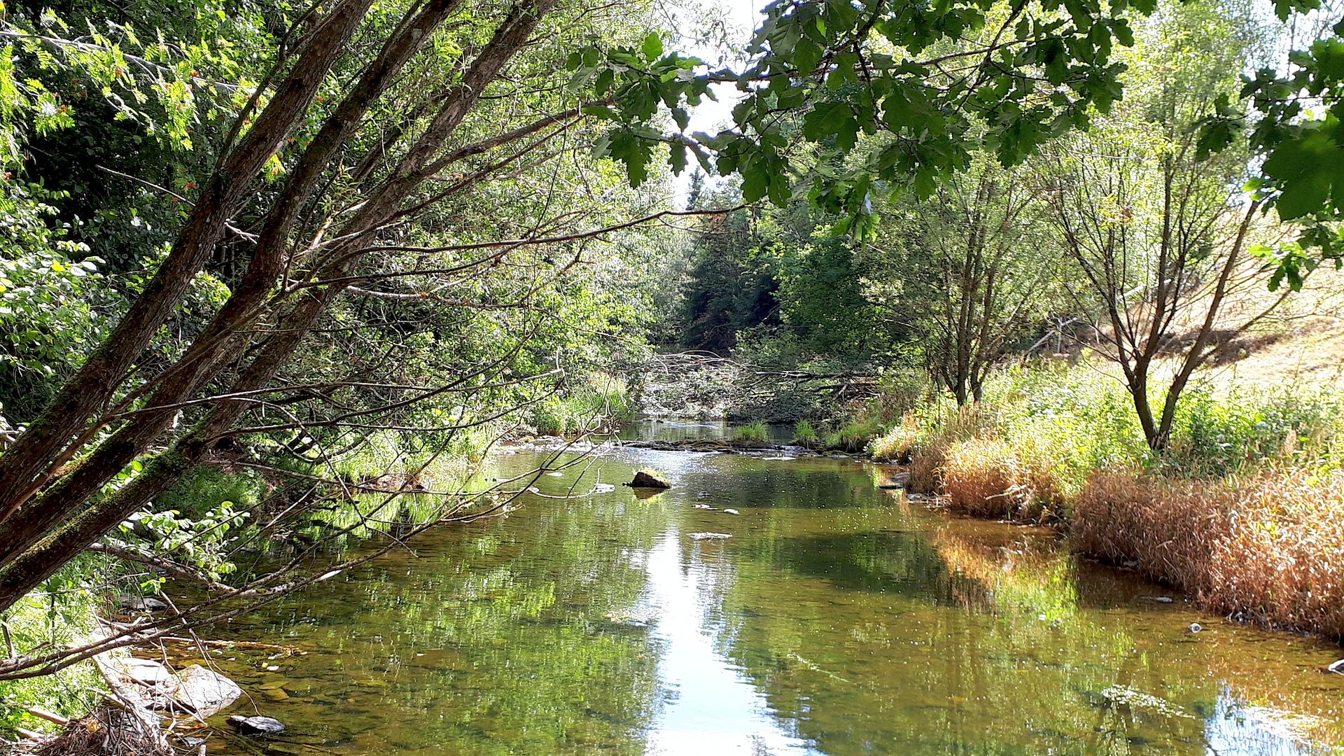 Kajak, Fluss Warche, Abschnitt Bütgenbach  - Robertville