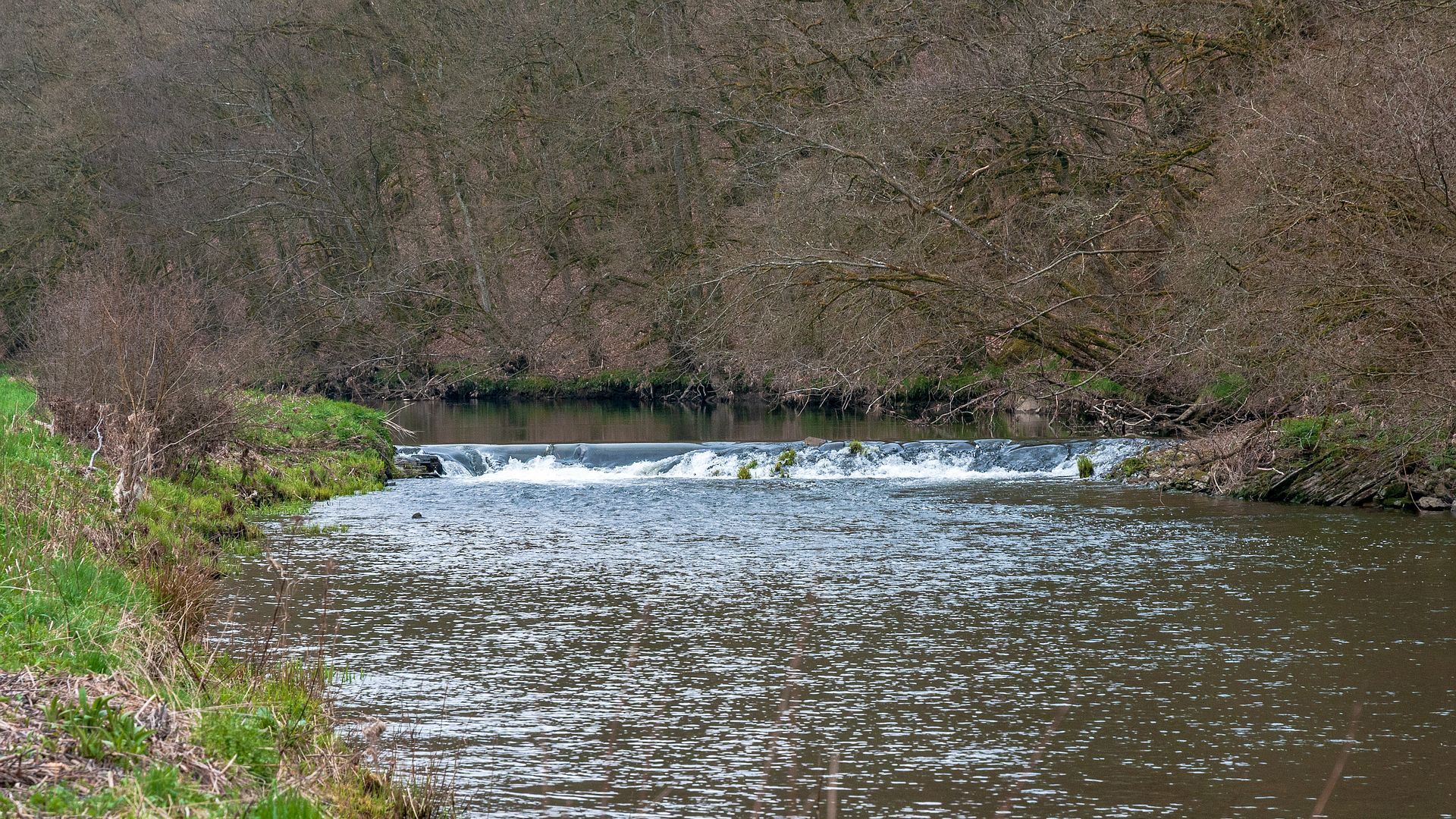 Kajak, Fluss Sauer (Sûre), Abschnitt Bodange - Pont de Misere