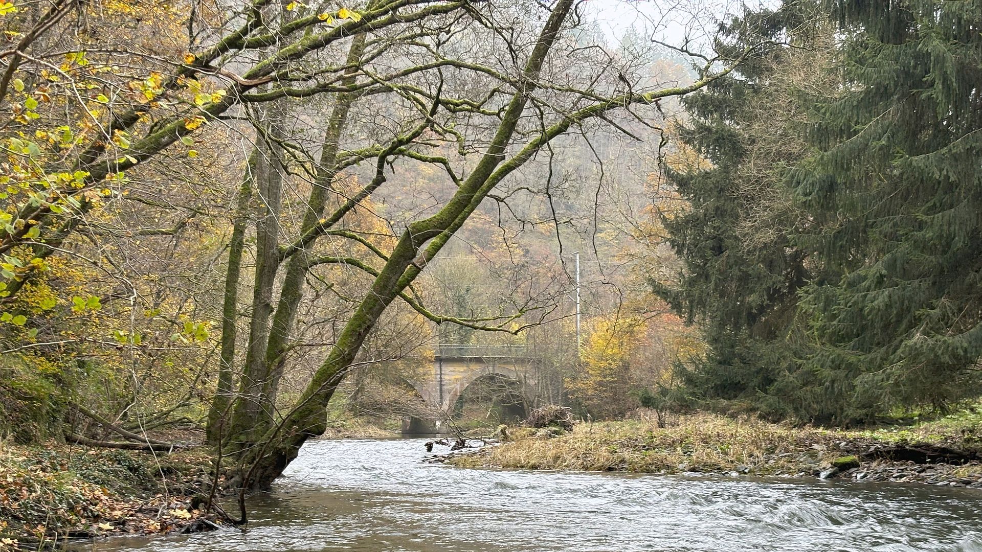 Kajak, Fluss Wiltz, Abschnitt Wiltz - Kautenbach