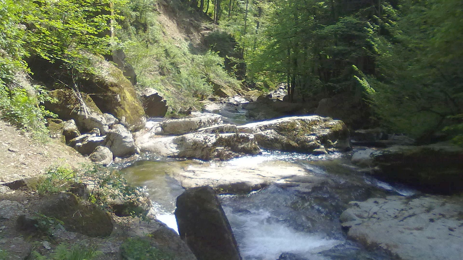 Kajak, Fluss Pesenbach, Abschnitt Gerling - Mühllacken