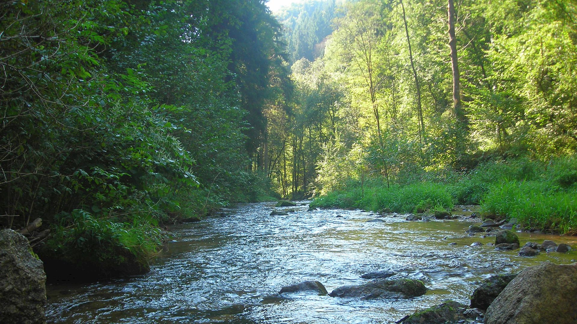 Kajak, Fluss Pesenbach, Abschnitt Gerling - Mühllacken