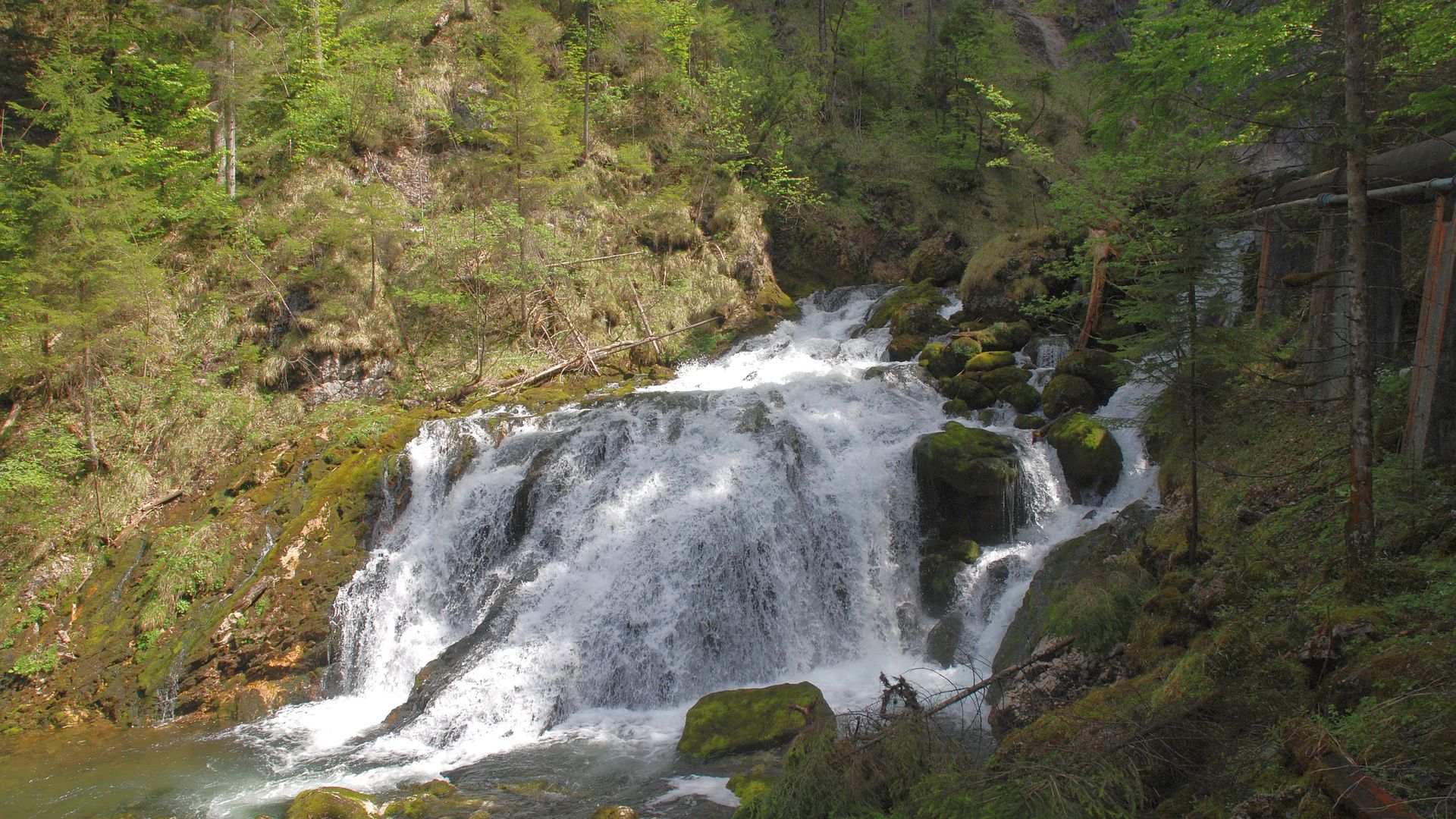 Kajak, Fluss Pießling, Abschnitt Pießling Ursprung - Roßleiten (Oberlauf)