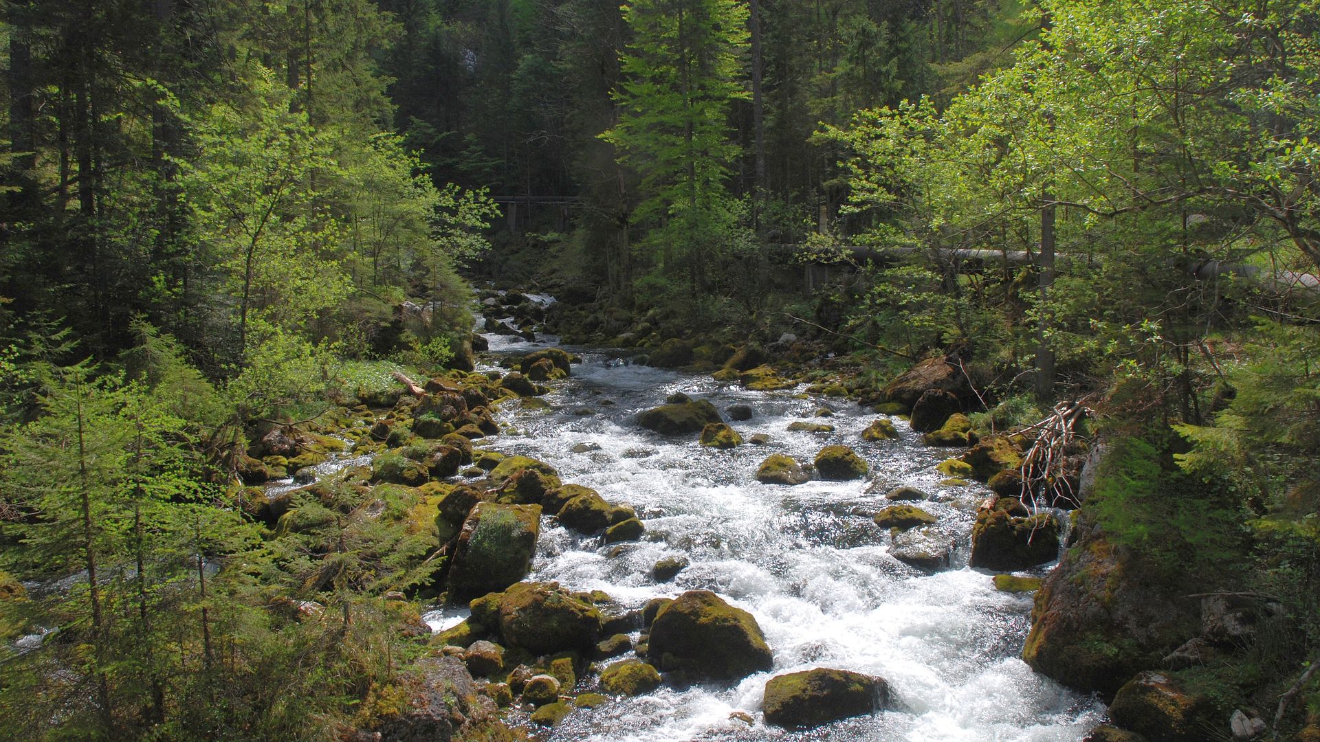 Kajak, Fluss Pießling, Abschnitt Pießling Ursprung - Roßleiten (Oberlauf)