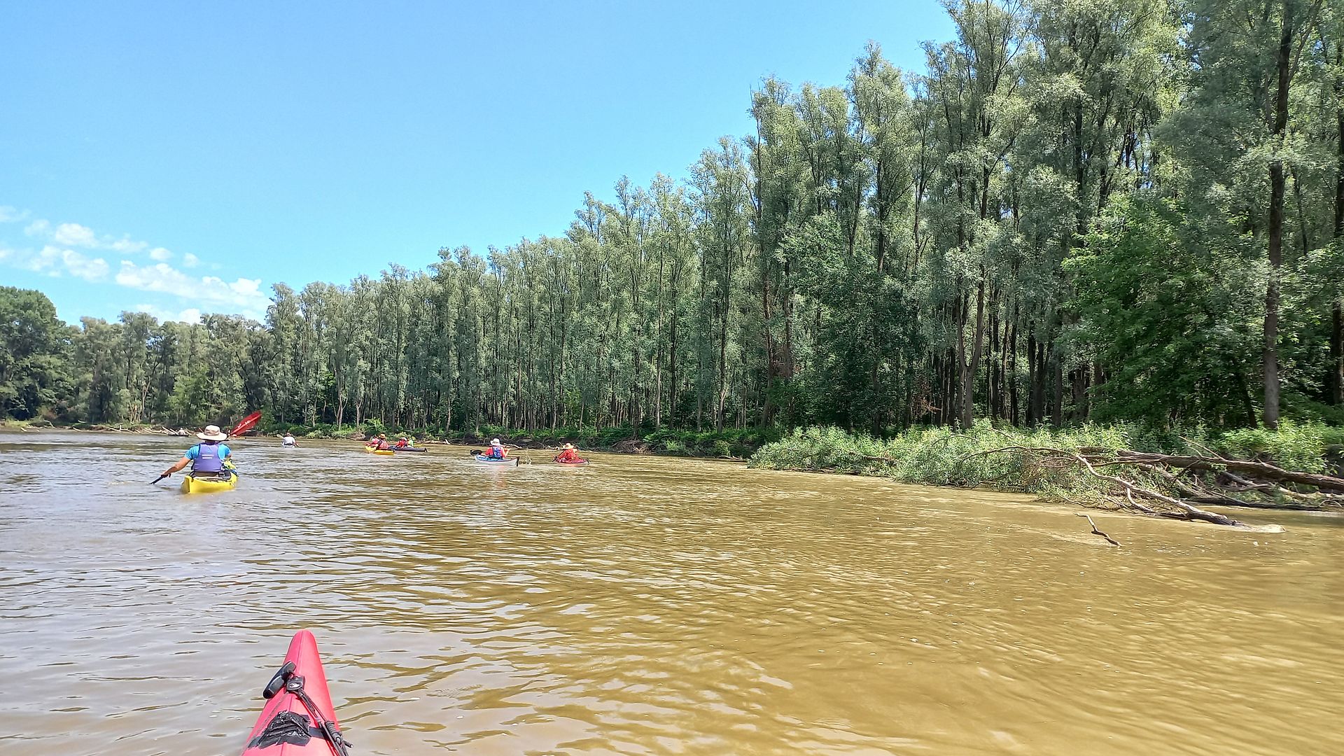 Kajak, Fluss Mur (Mura), Abschnitt Sveti Martin na Muri - Mündung in Drau eindrucksvolle Natur 
