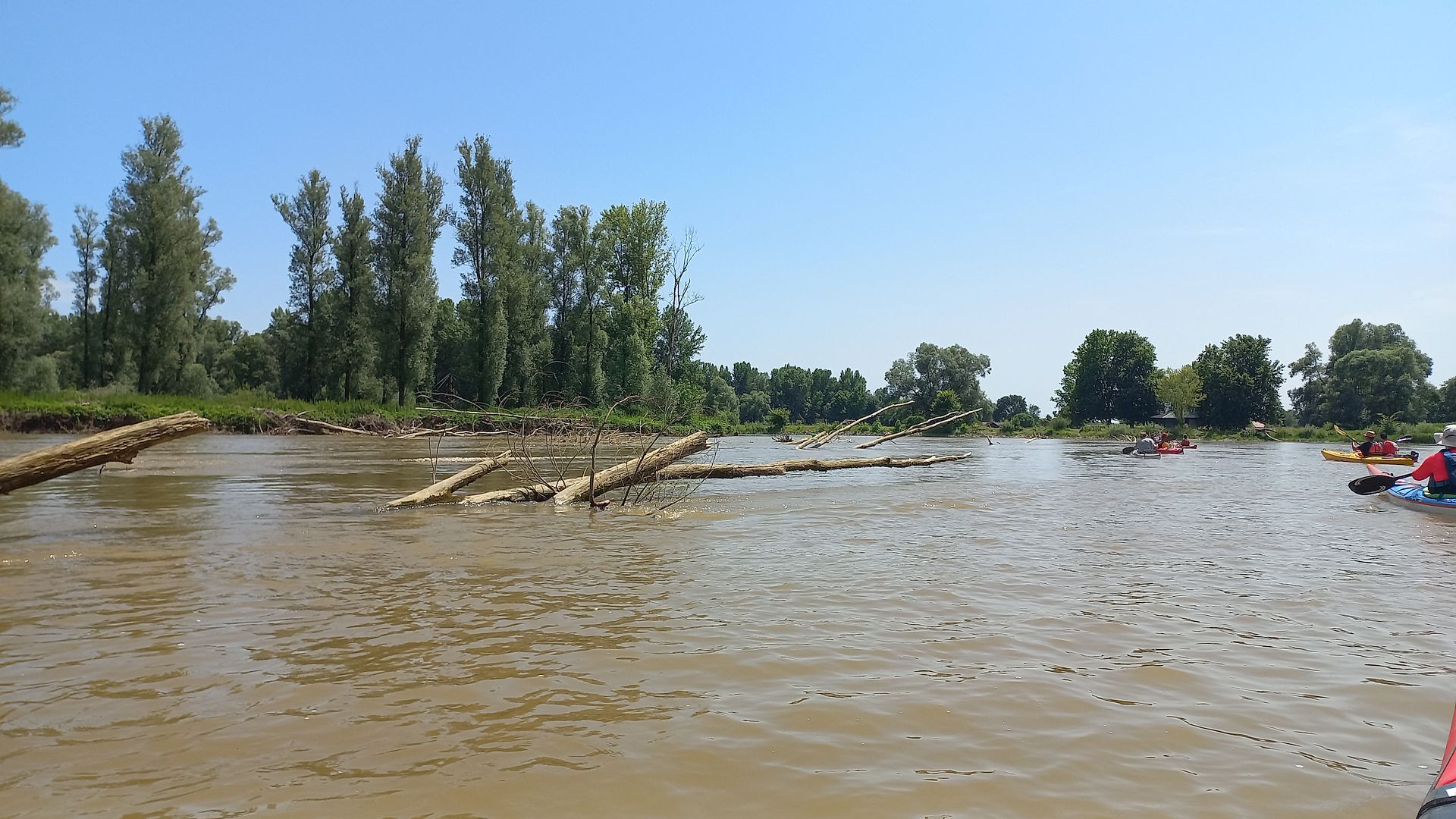 Kajak, Fluss Mur (Mura), Abschnitt Sveti Martin na Muri - Mündung in Drau Totholz 